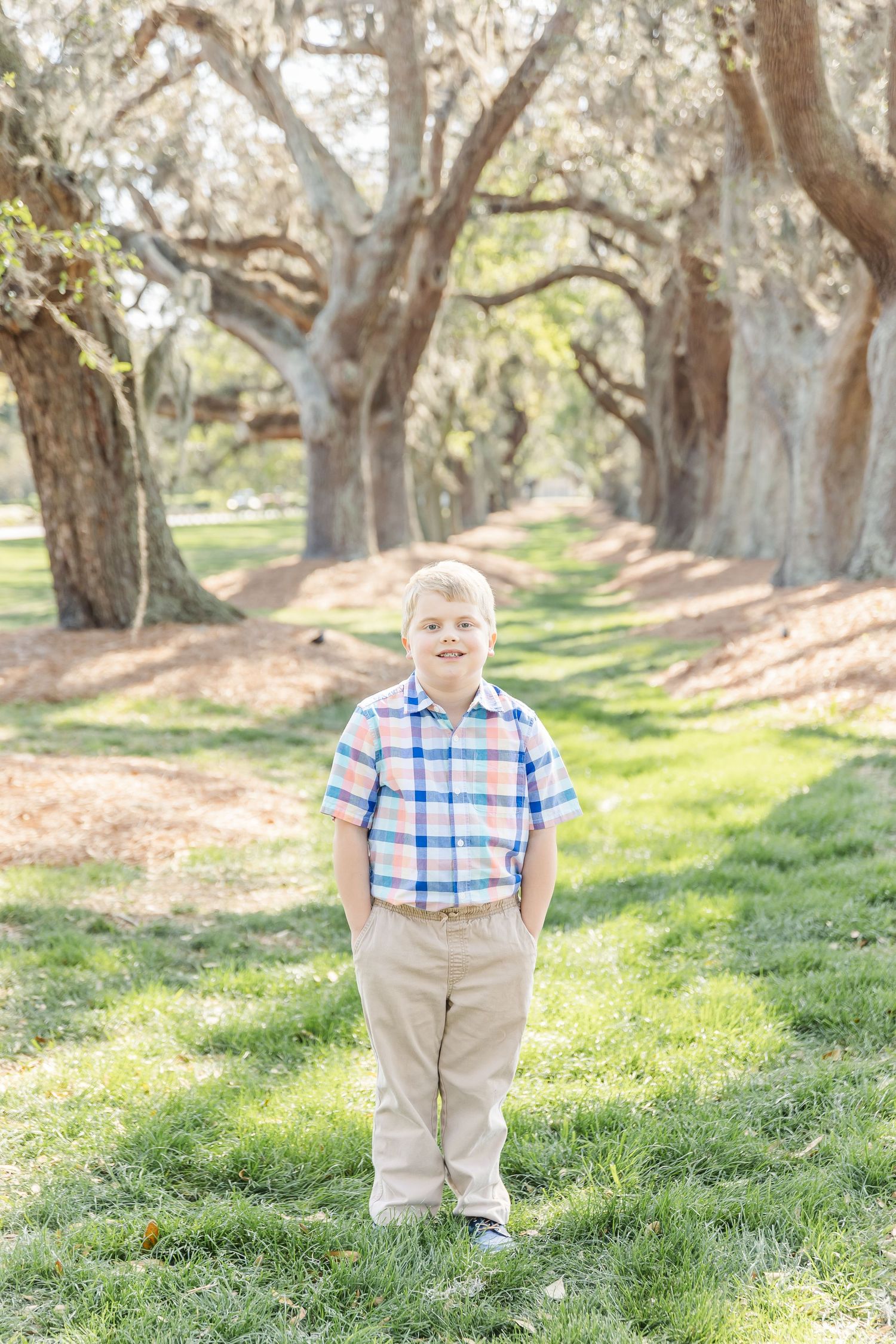 Child in checkered shirt stands with hands in pockets on grassy path lined with majestic oak trees.