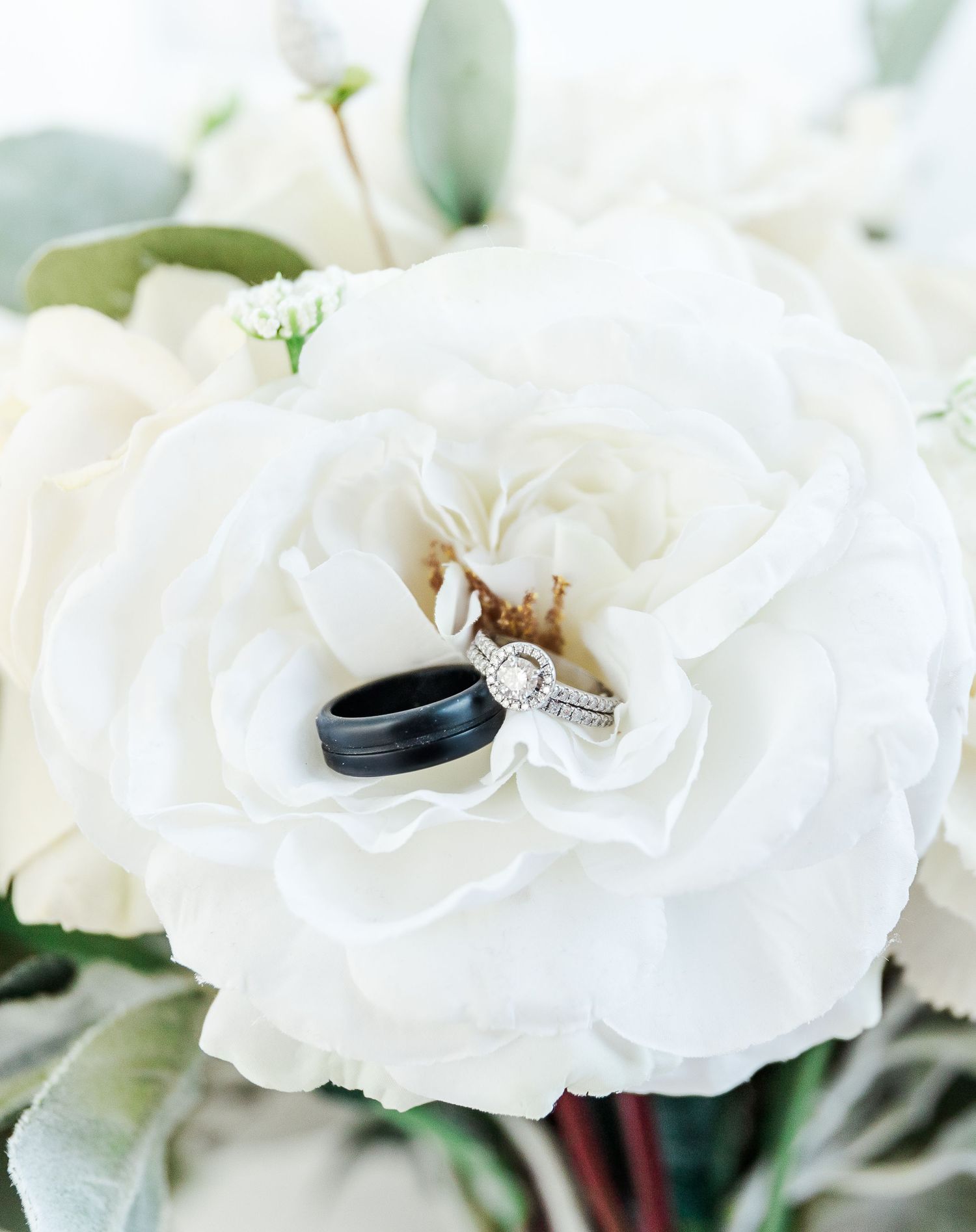 Wedding rings nestled in a white rose bloom with soft green foliage.