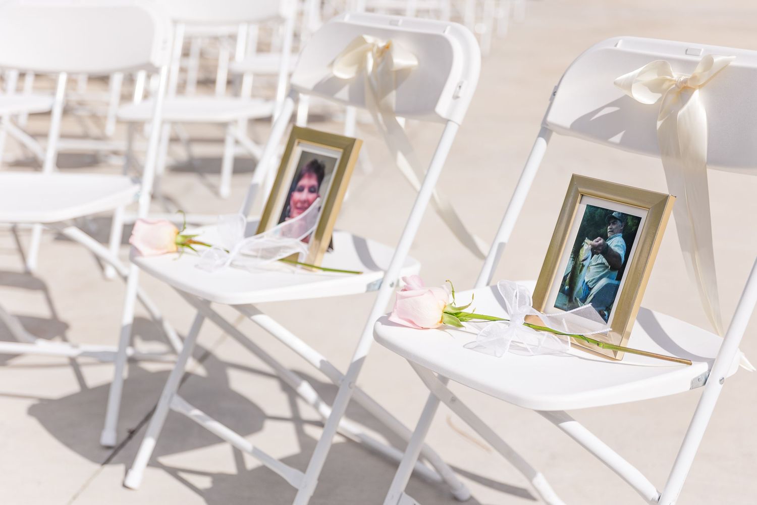 Row of white folding chairs with memorial photos and roses in sunlight.
