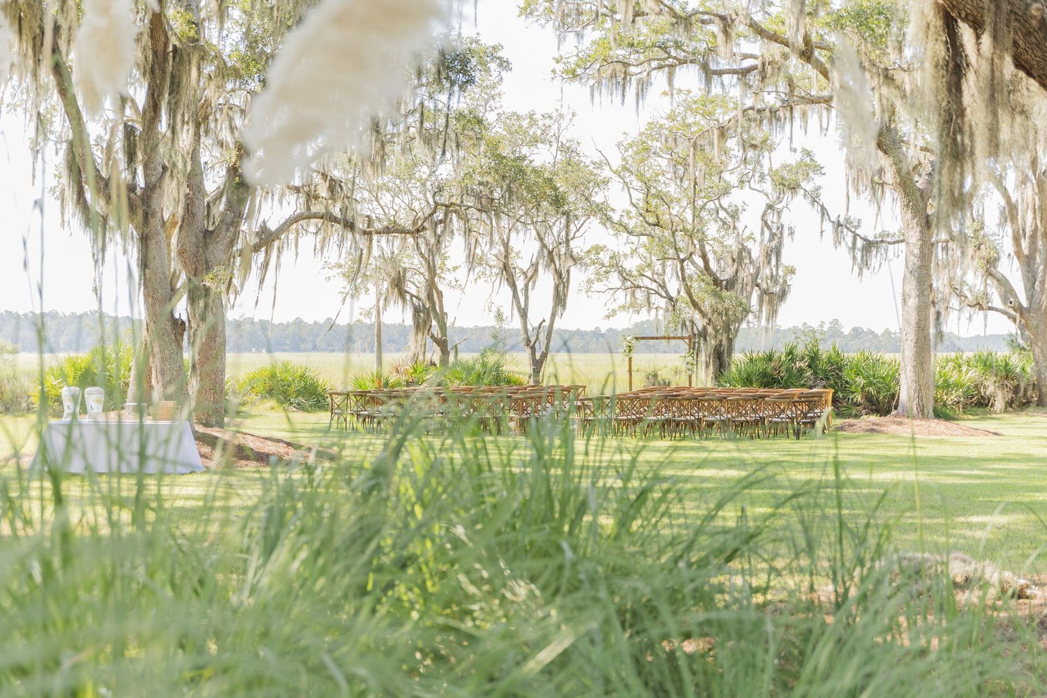 Spanish moss hangs from trees over a lush green lawn with a wooden bench in the background.