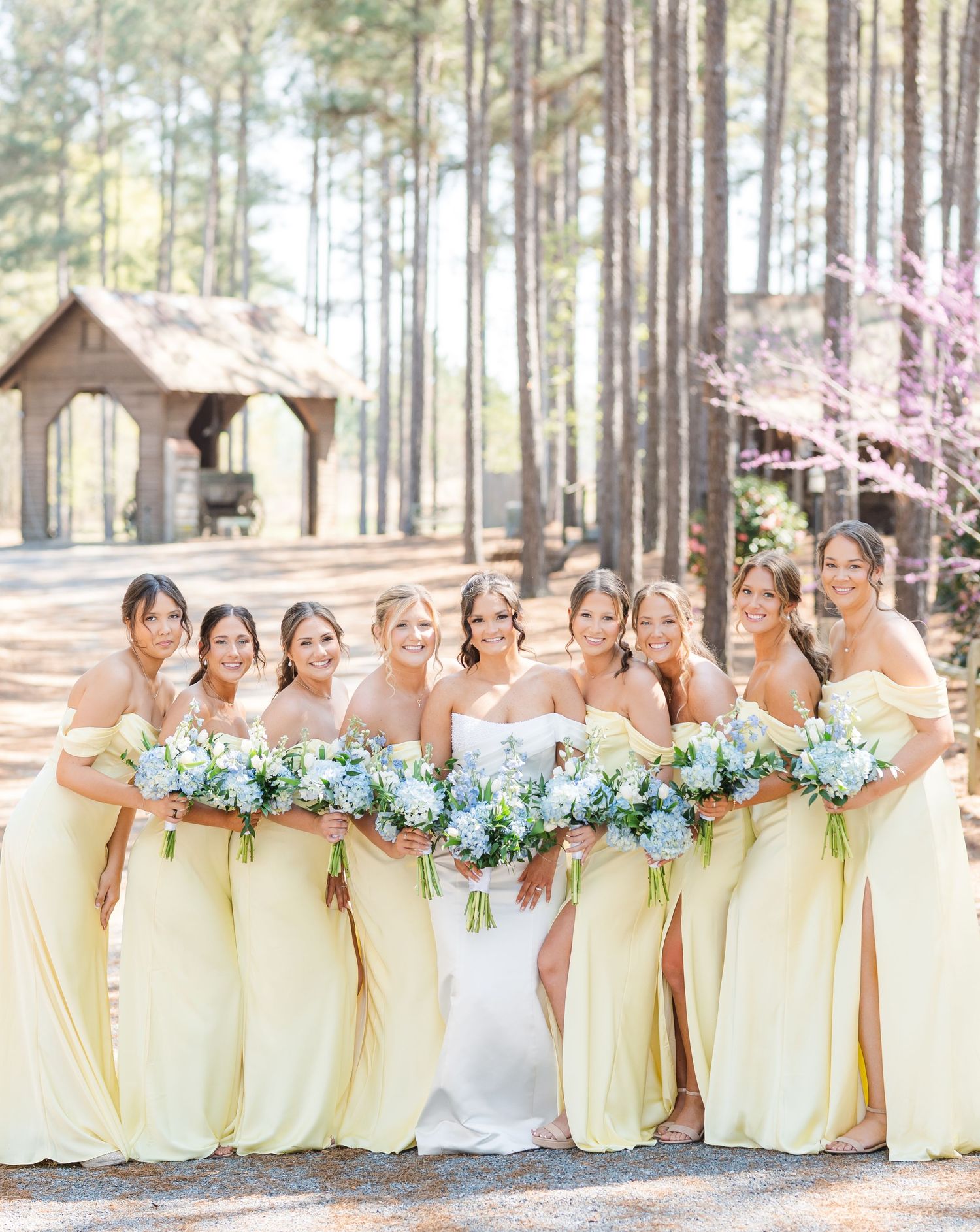 Bride with seven bridesmaids in yellow gowns holding blue and white bouquets among pine trees.