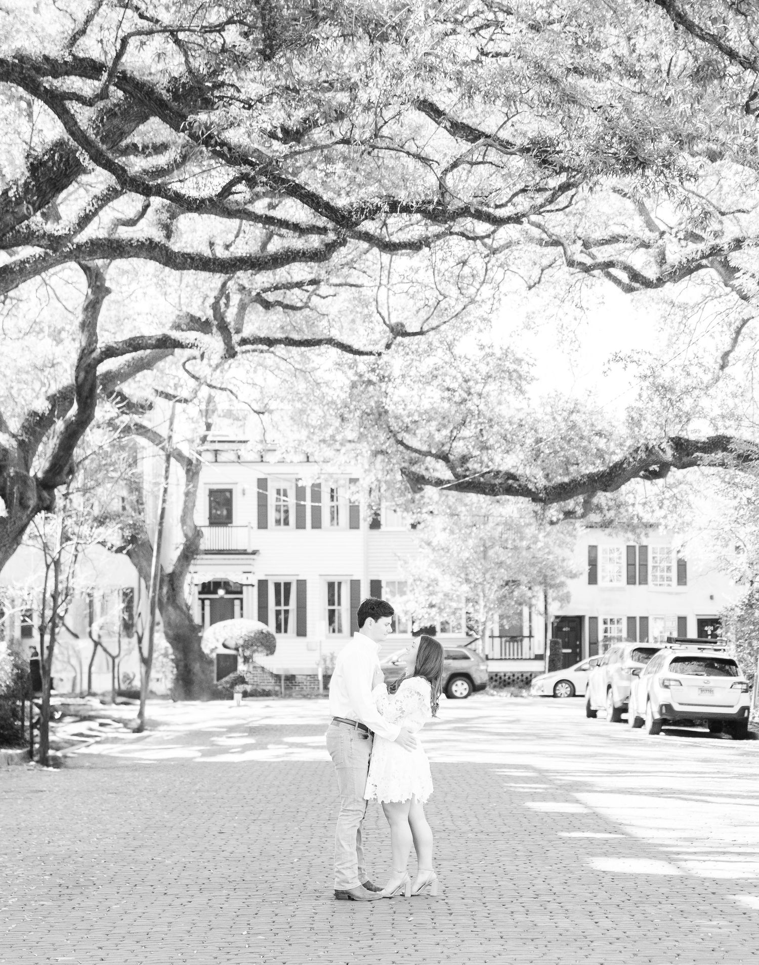 A romantic black and white photo of a couple strolling beneath sprawling oak trees on a cobblestone street.