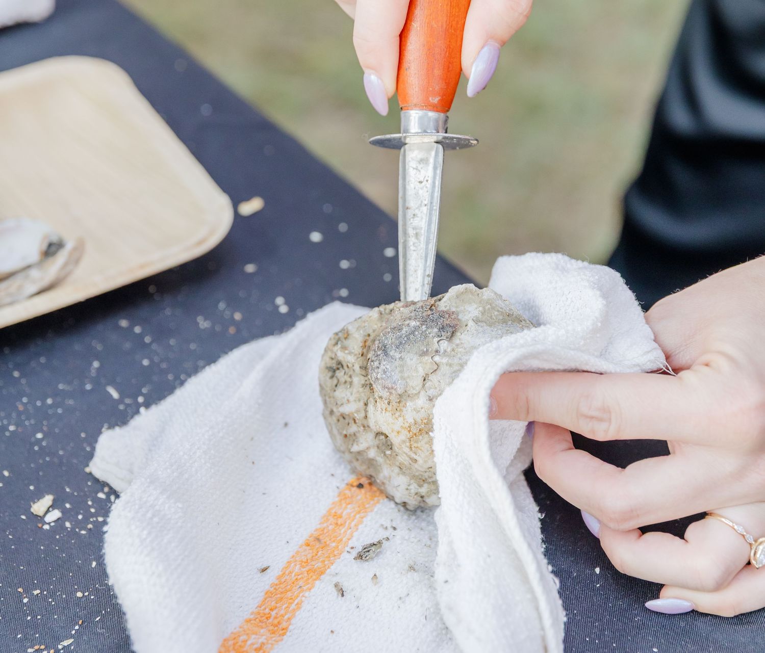 Someone uses an oyster knife to carefully shuck a fresh oyster on a white cloth napkin.