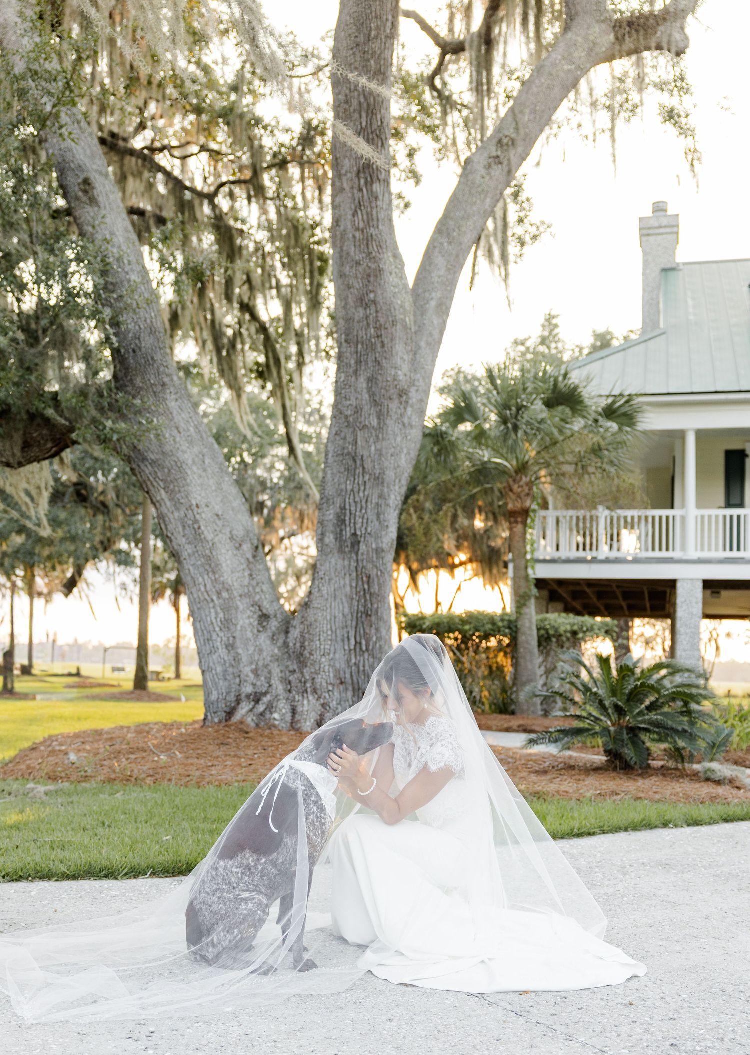 Bride in white gown and veil kneeling under a large moss-draped oak tree near a Southern plantation home.