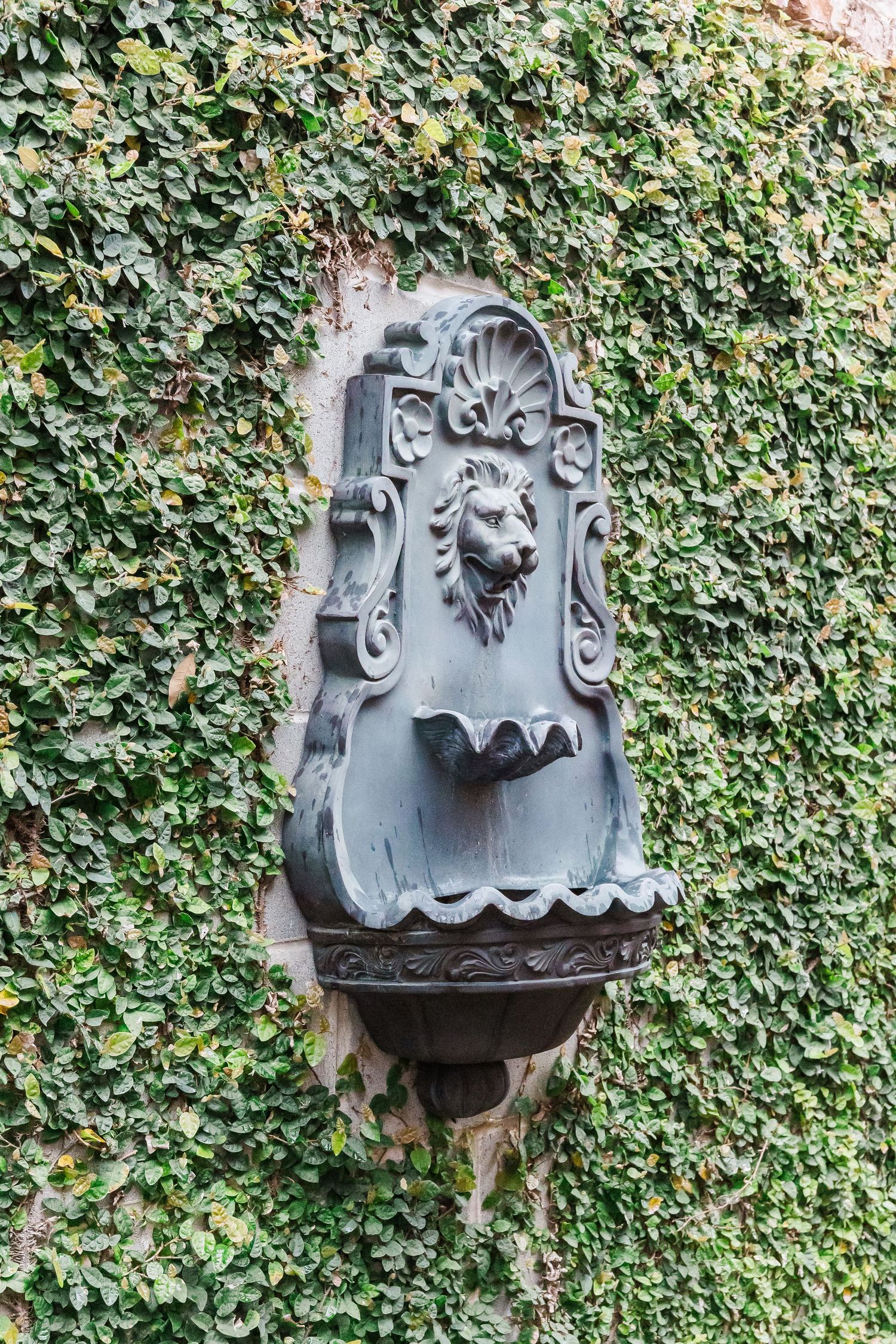 A decorative stone wall fountain with a lion head spout mounted against a lush green ivy-covered wall.