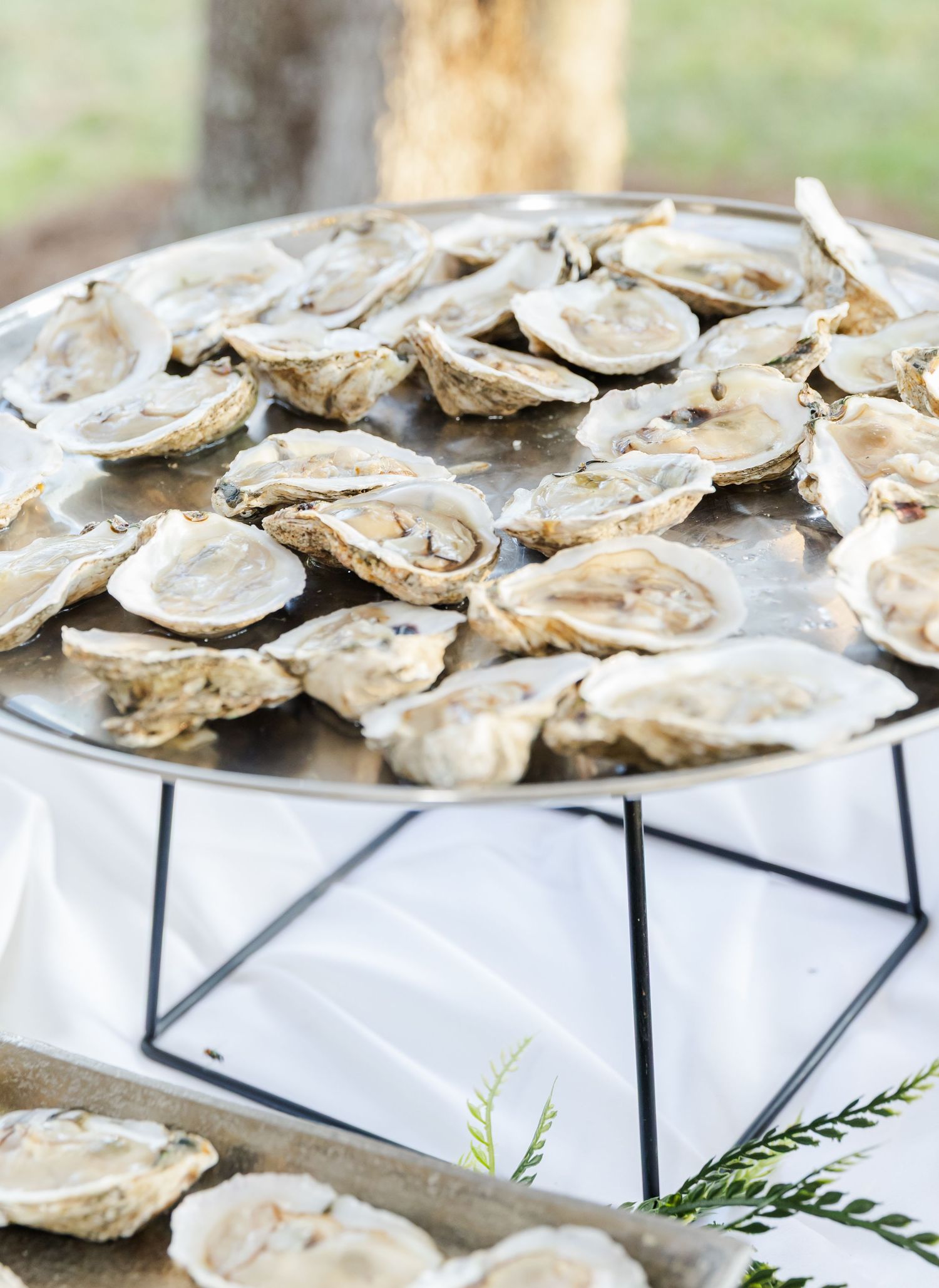 Close-up of fresh raw oysters arranged on a modern geometric serving platter.