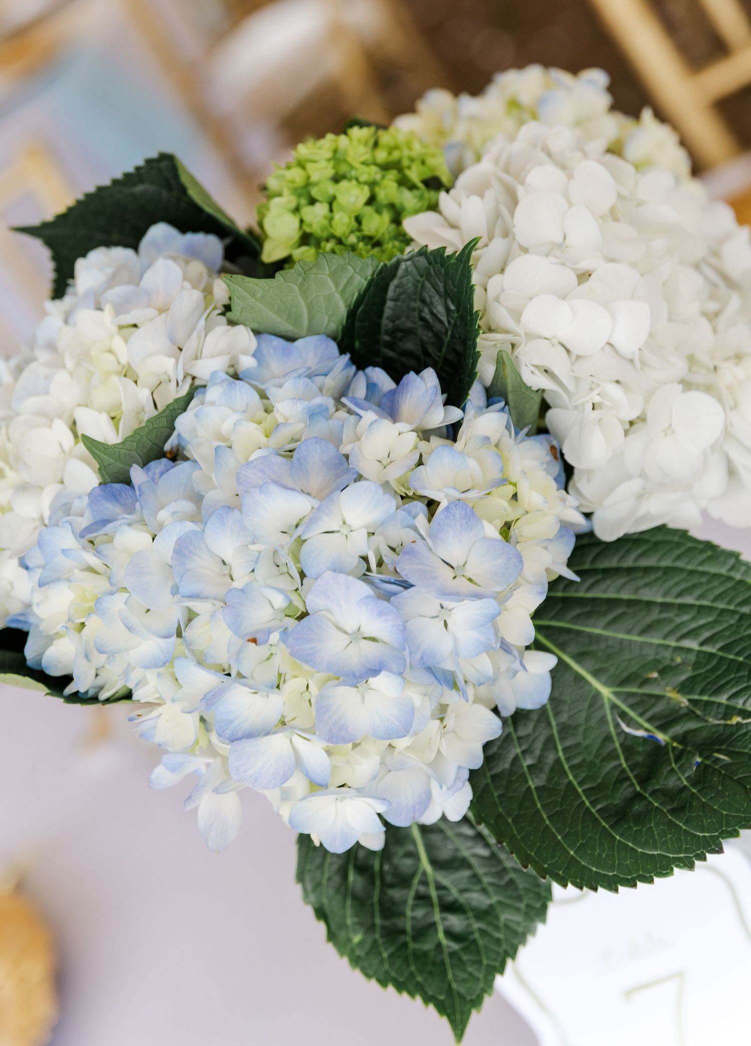 Blue and white hydrangea wedding centerpiece with lush green leaves on a table.
