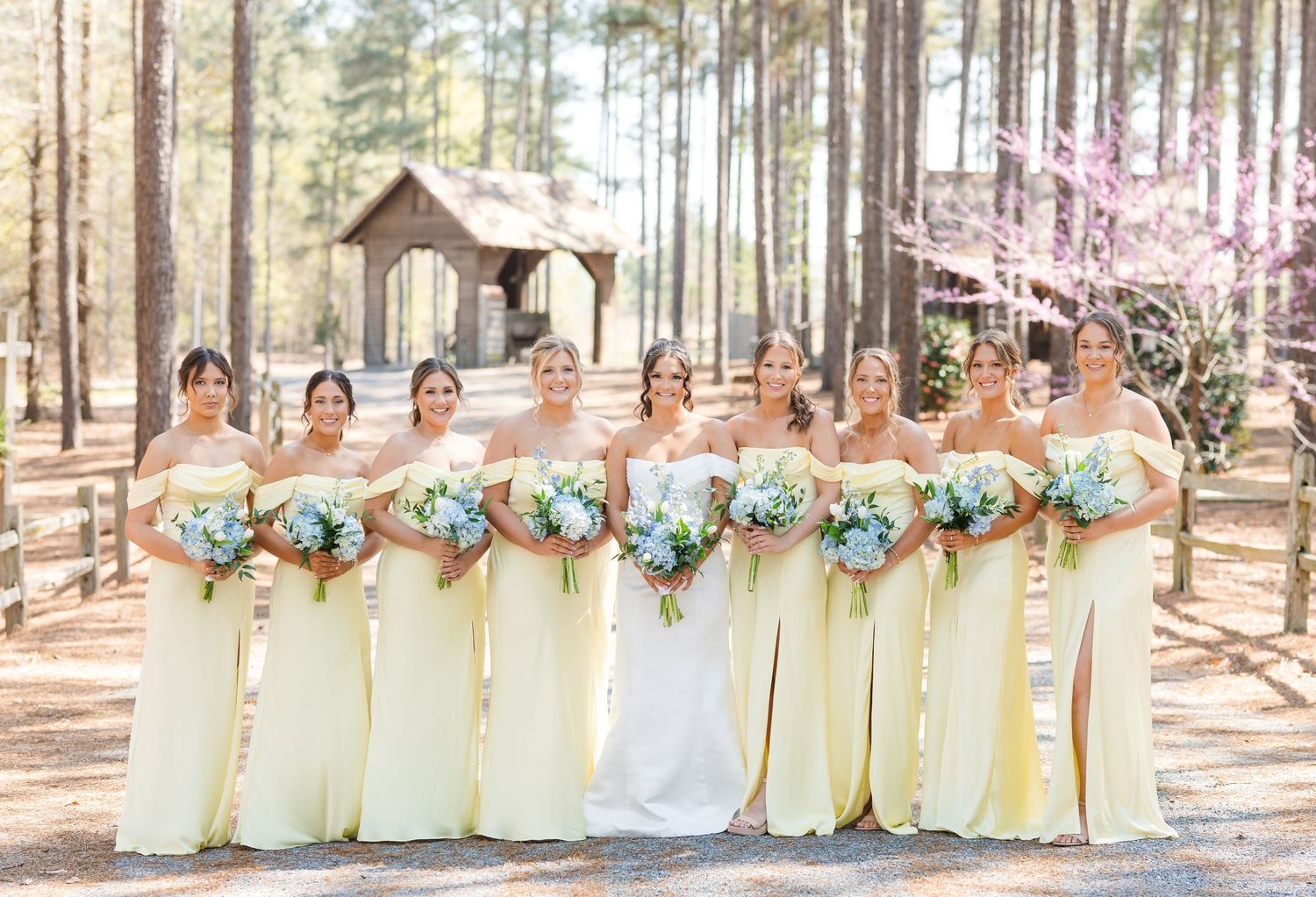Bride with eight bridesmaids in pale yellow strapless gowns holding blue bouquets among tall pine trees outdoors.