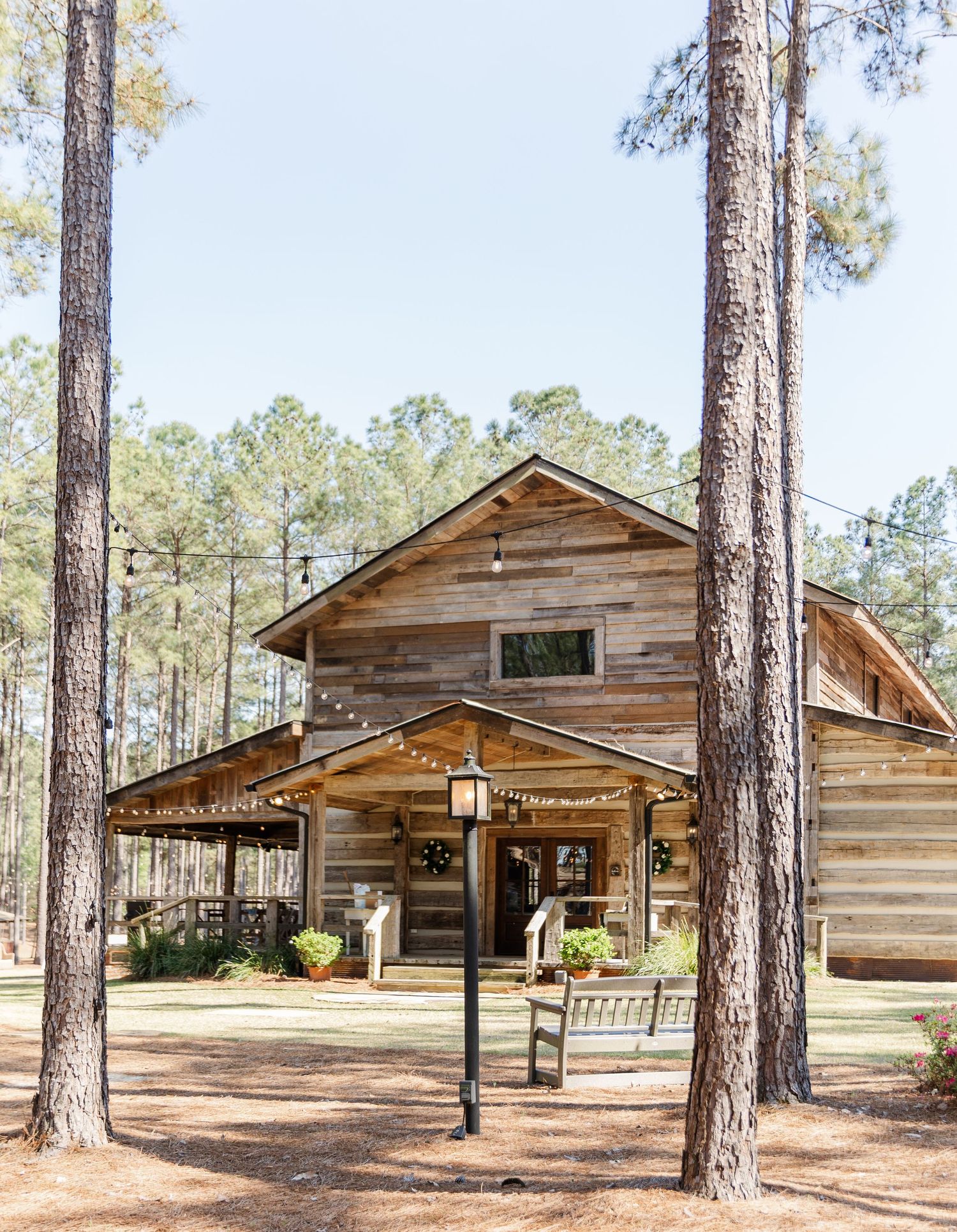 Rustic wooden barn wedding venue surrounded by tall pine trees with string lights and covered porch.