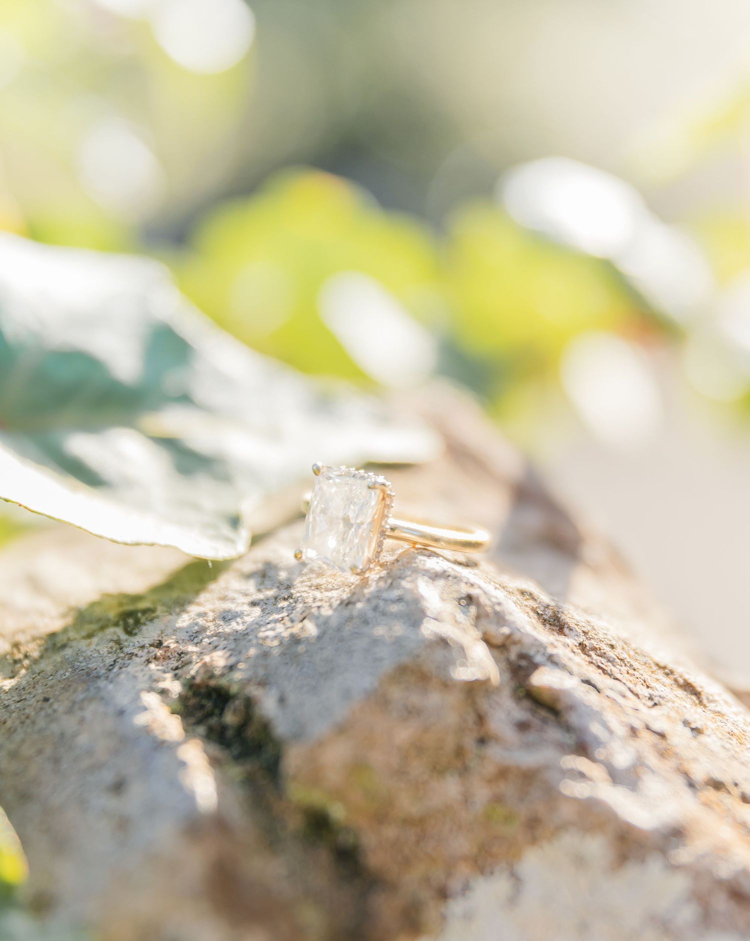 Engagement ring sparkles in natural sunlight on rustic bark with soft bokeh background.
