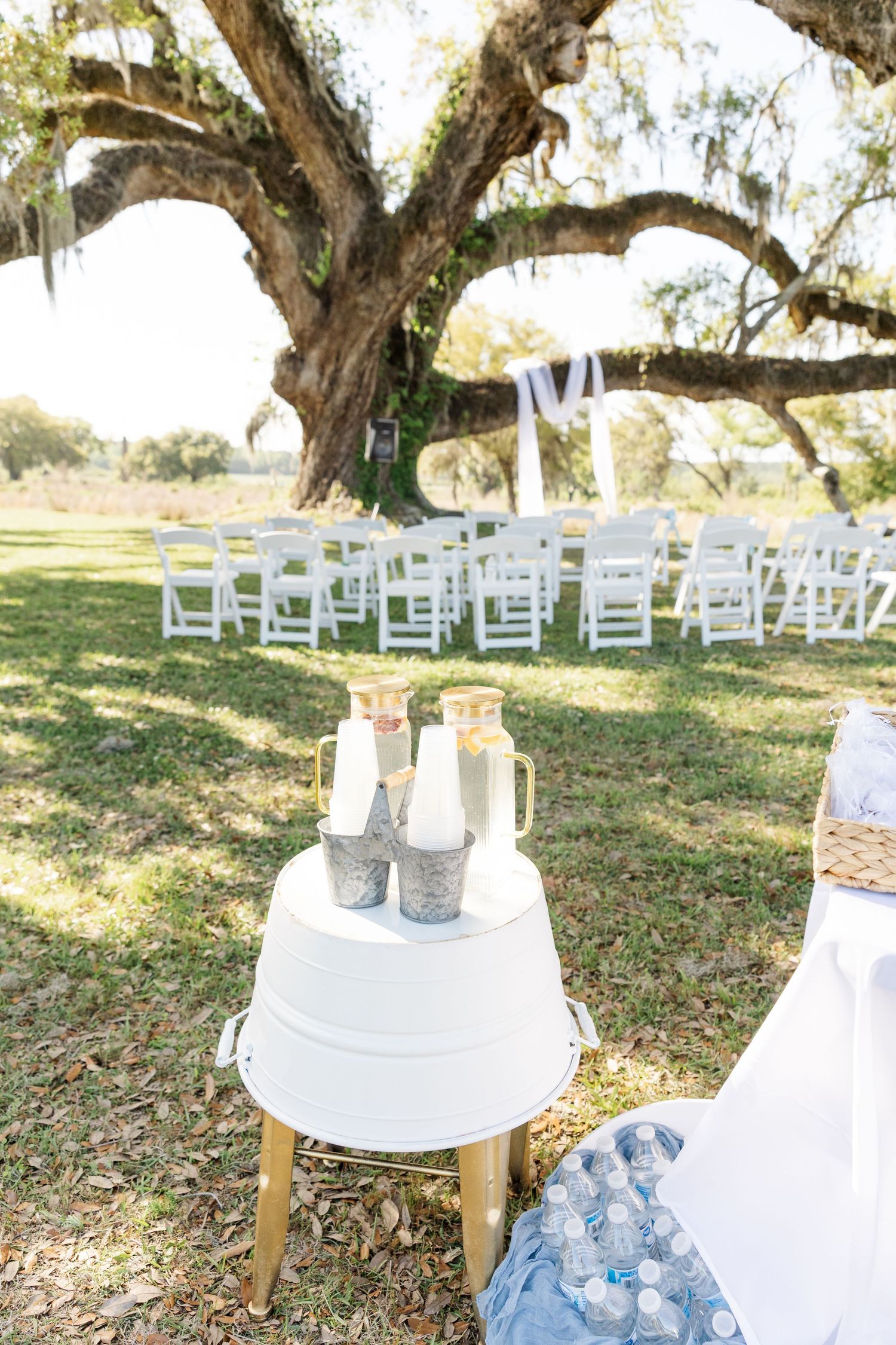 Outdoor wedding ceremony setup with white folding chairs arranged under a large oak tree with Spanish moss.