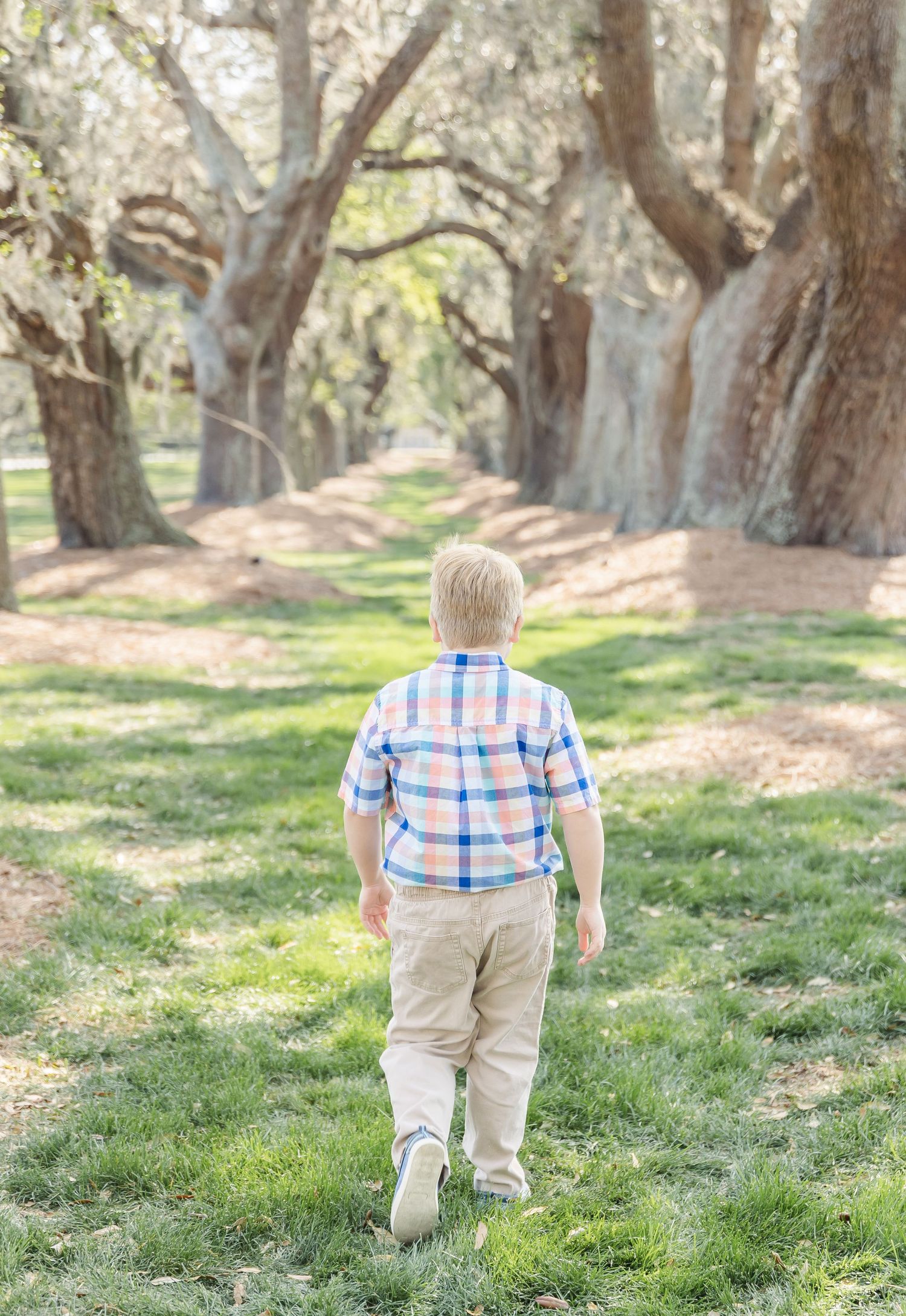 Child walking away on grassy path beneath canopy of large oak trees.