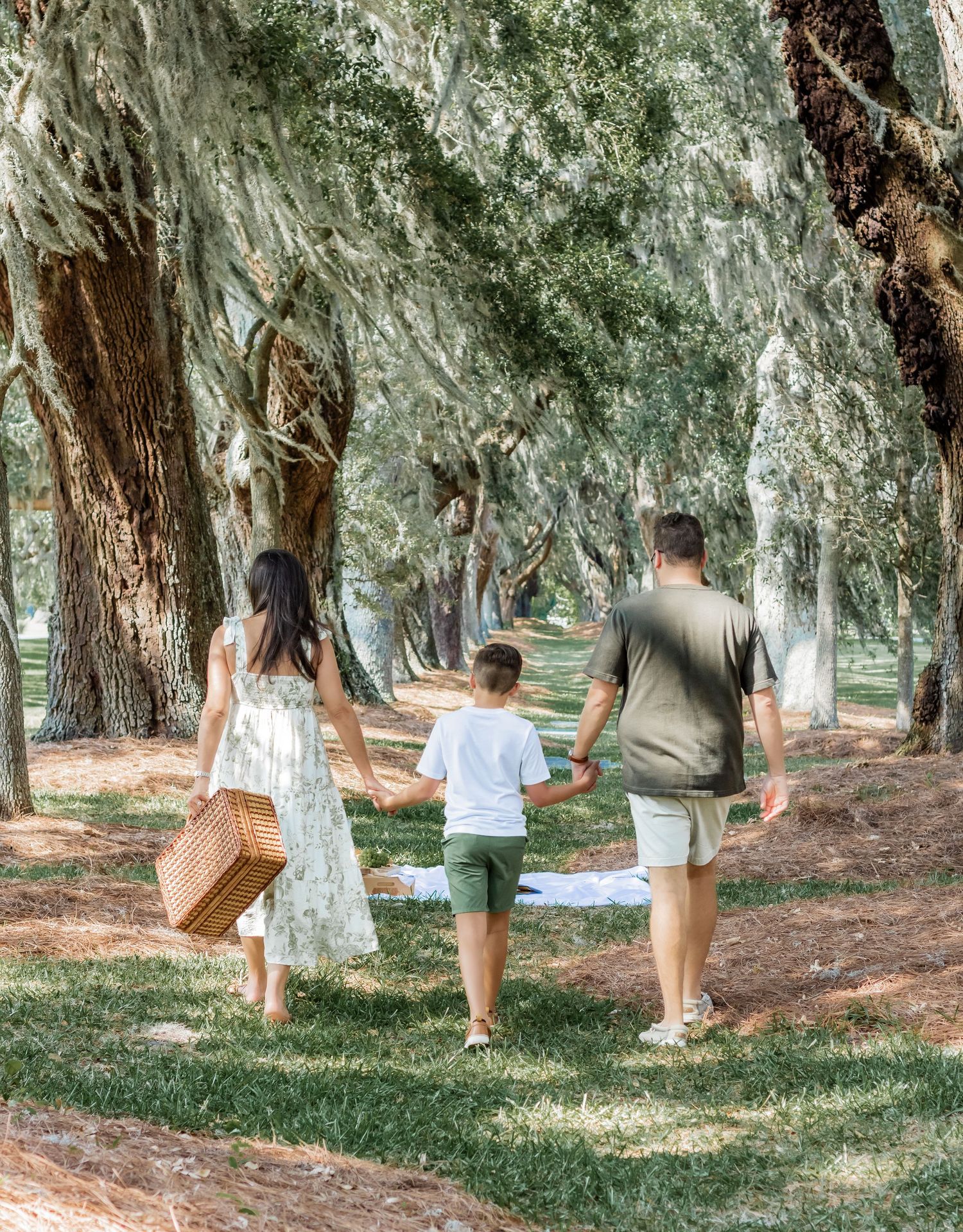 Family walking together through a scenic path lined with Spanish moss-covered trees.