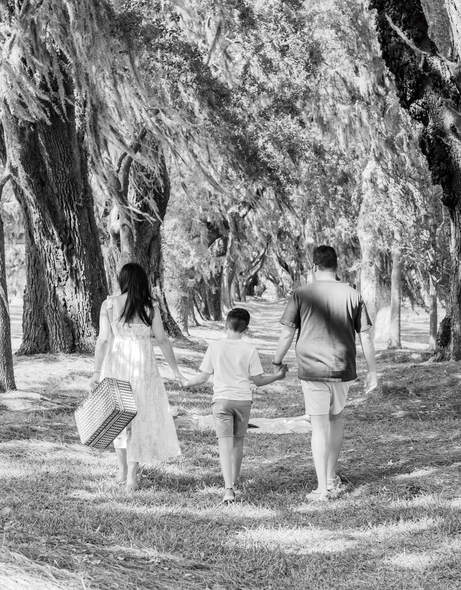 A family walks hand in hand down a tree-lined path in black and white.