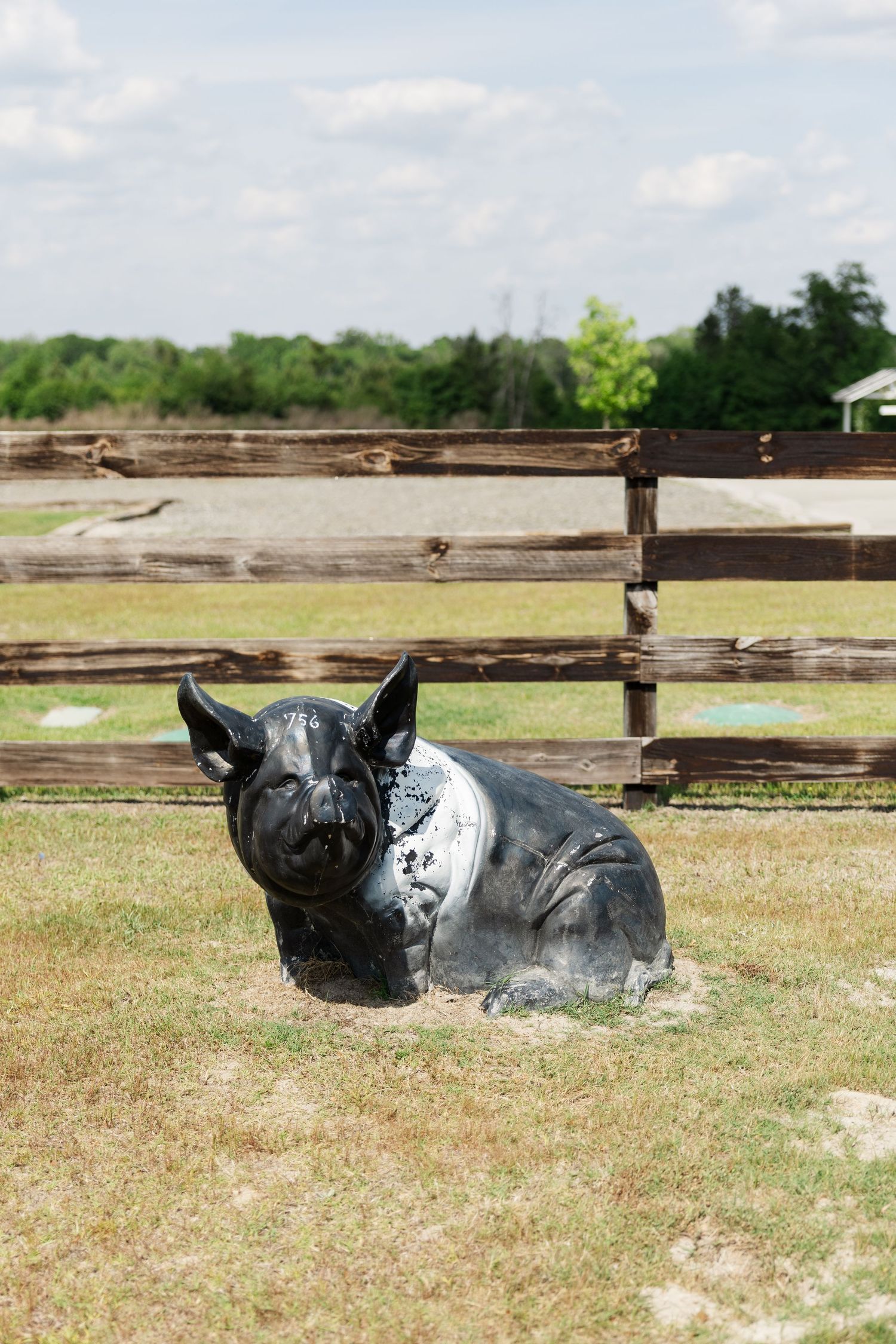 Black painted pig statue decoration sitting on grass near wooden fence at farm wedding venue.