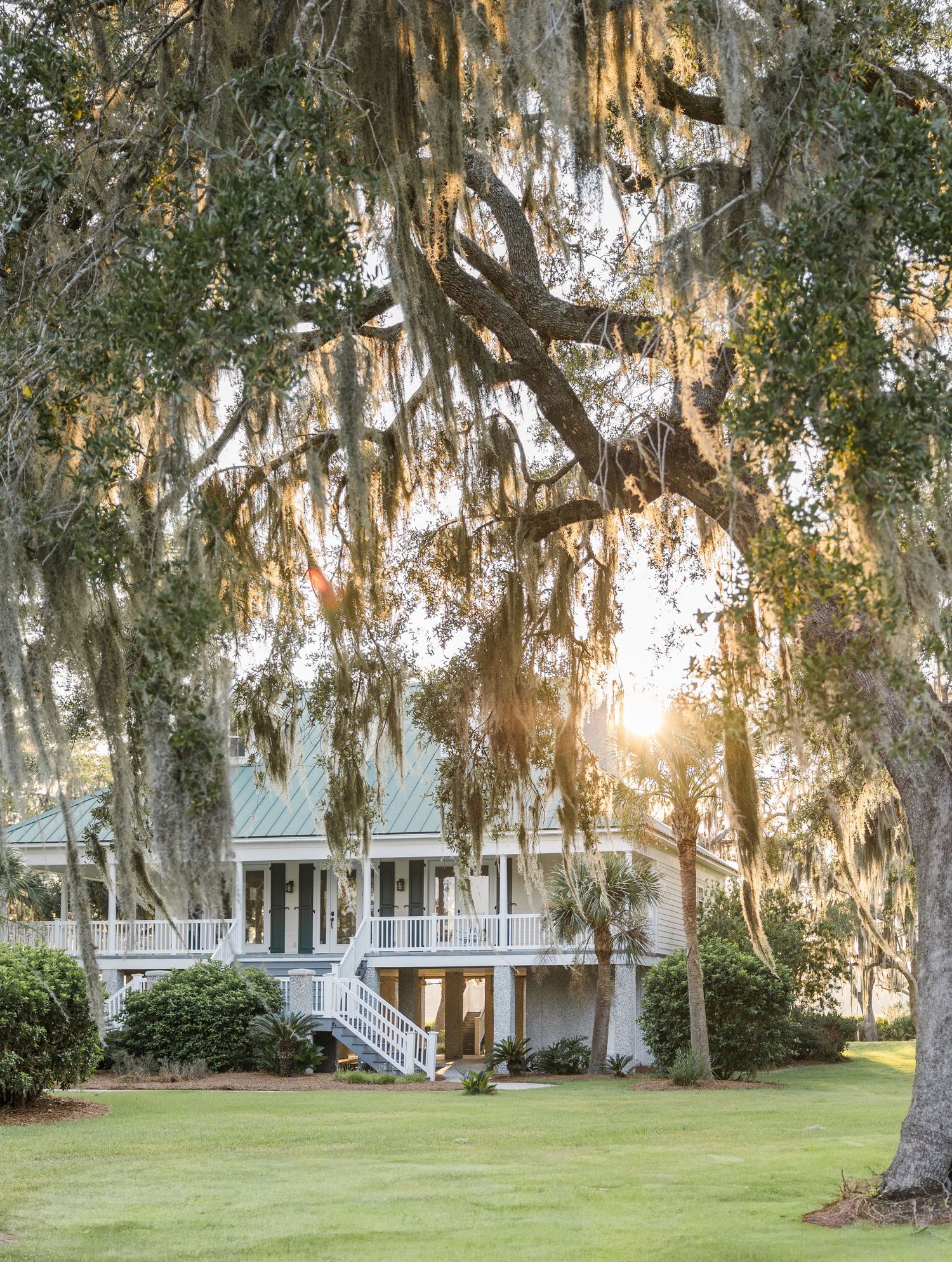 Southern plantation home with white wraparound porch framed by sprawling live oak trees draped in Spanish moss at sunset.