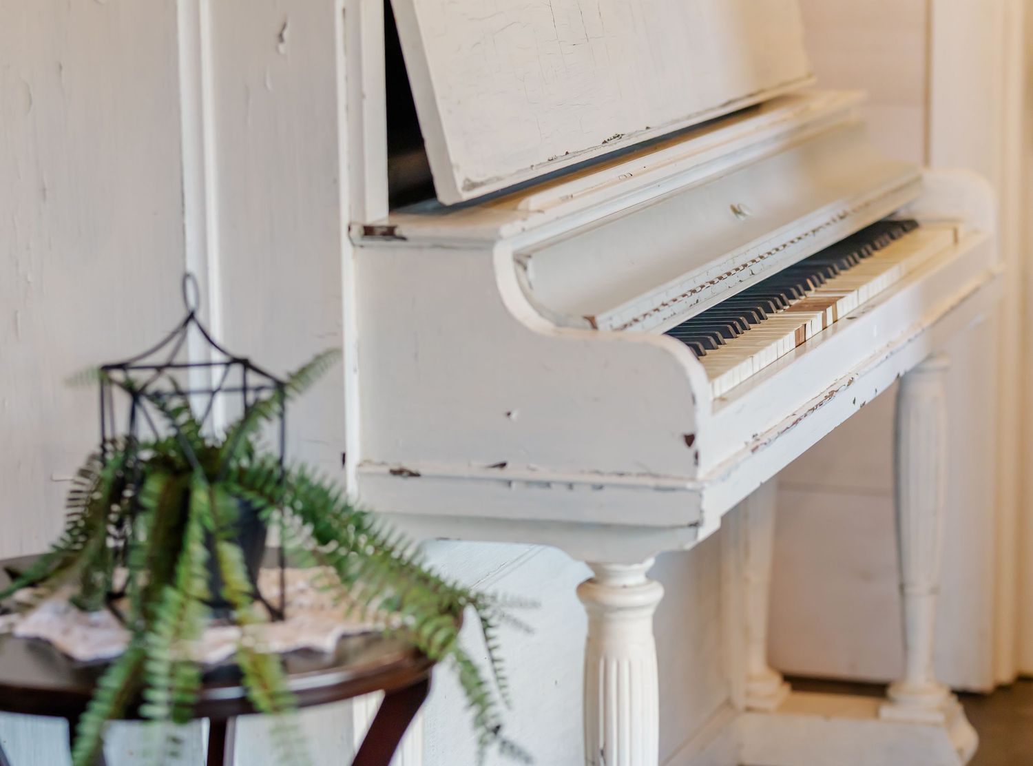 White piano in a bright interior space with hanging plants creating an elegant musical atmosphere.