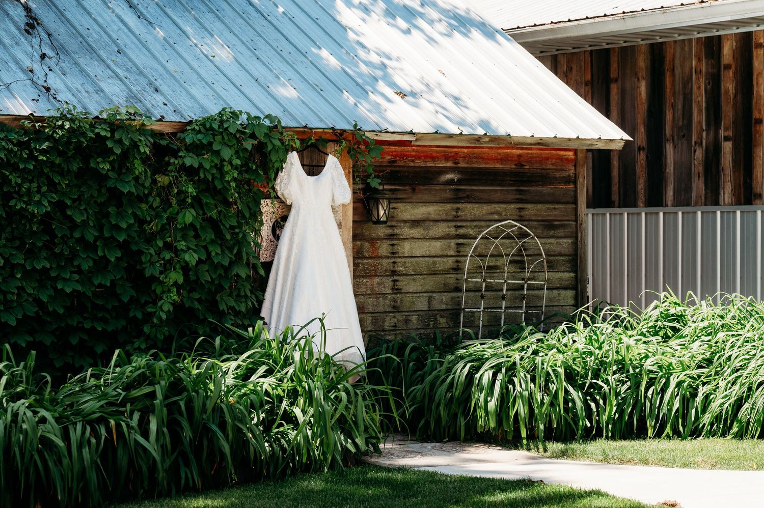 White wedding dress hanging on a rustic wooden barn surrounded by lush green ferns and ivy on a sunny day.