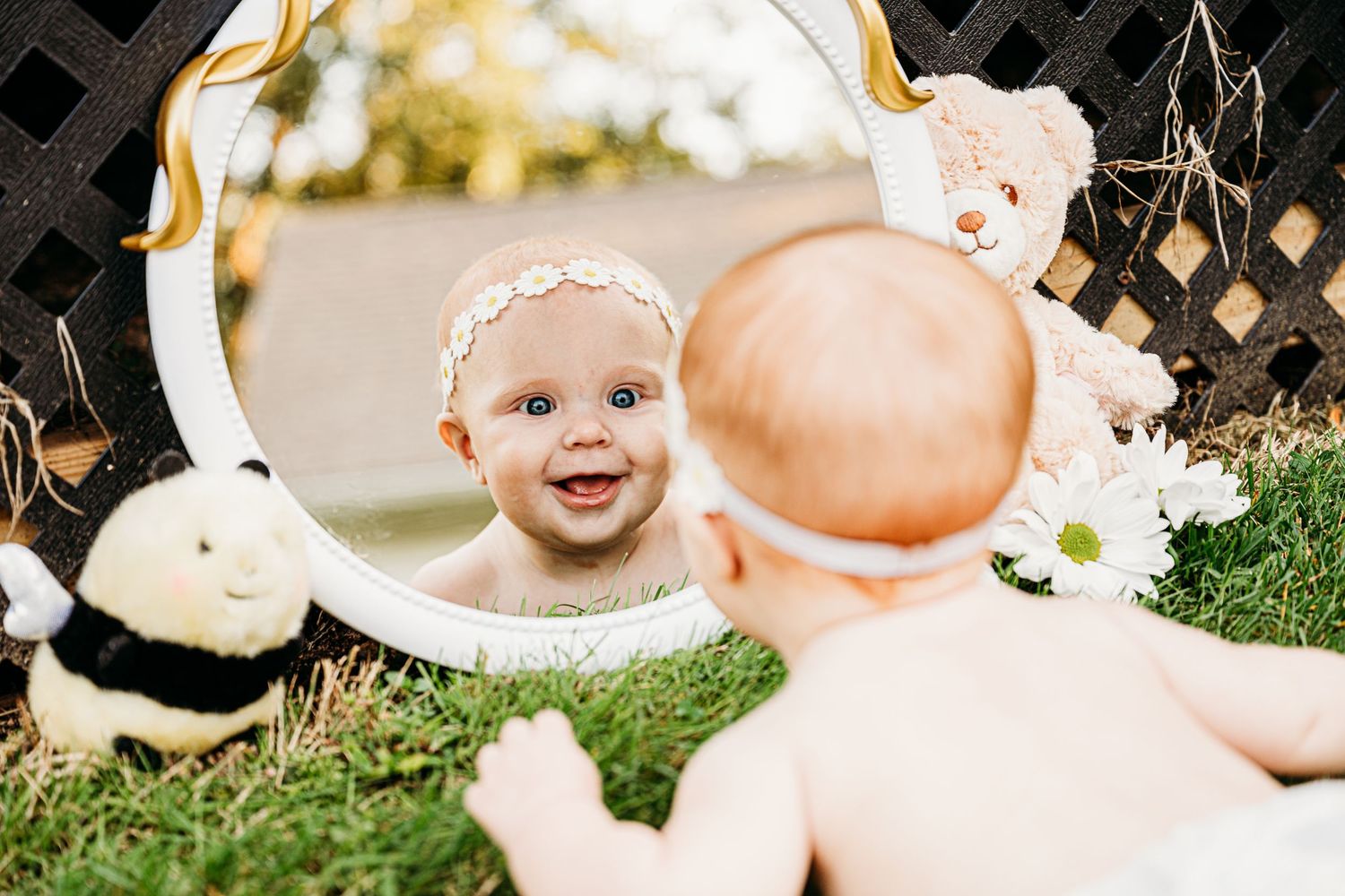 A floral crown made of white daisies rests on grass in a sunlit garden setting.