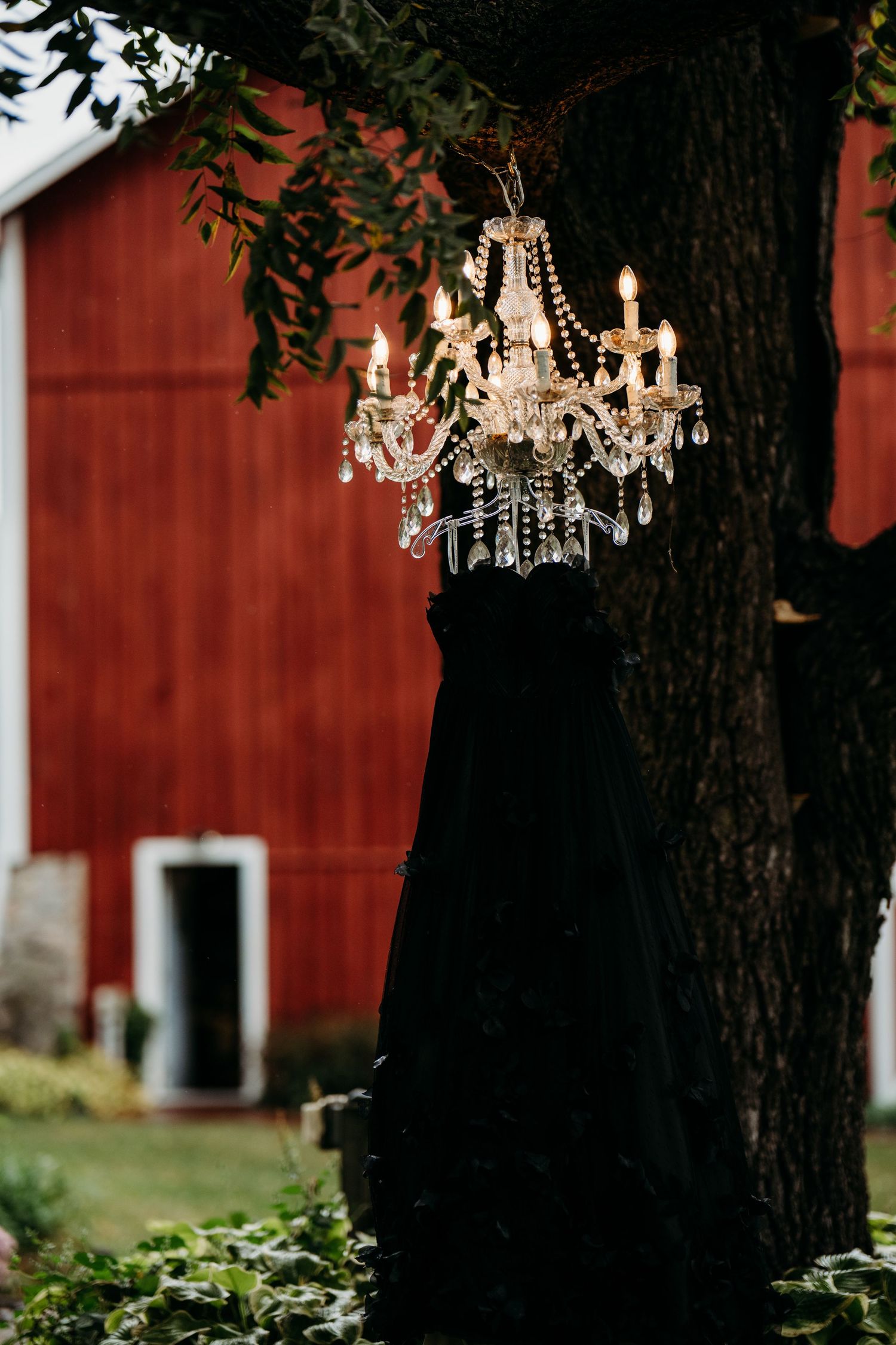 Crystal chandelier hangs from tree branch with red barn in background creating elegant rustic outdoor decor.