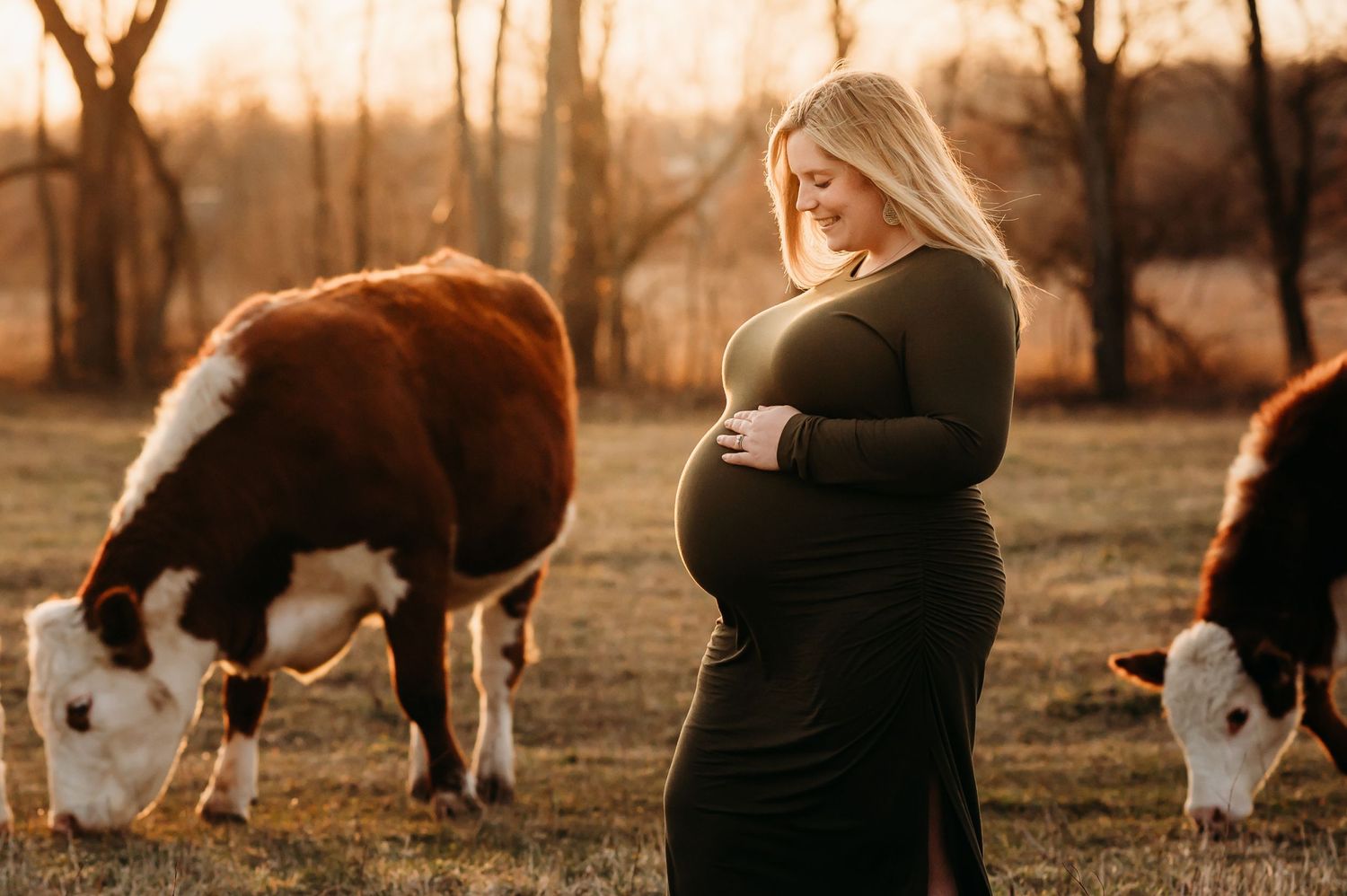 A pregnant woman in a black dress stands in a golden field at sunset with grazing cows in the background.