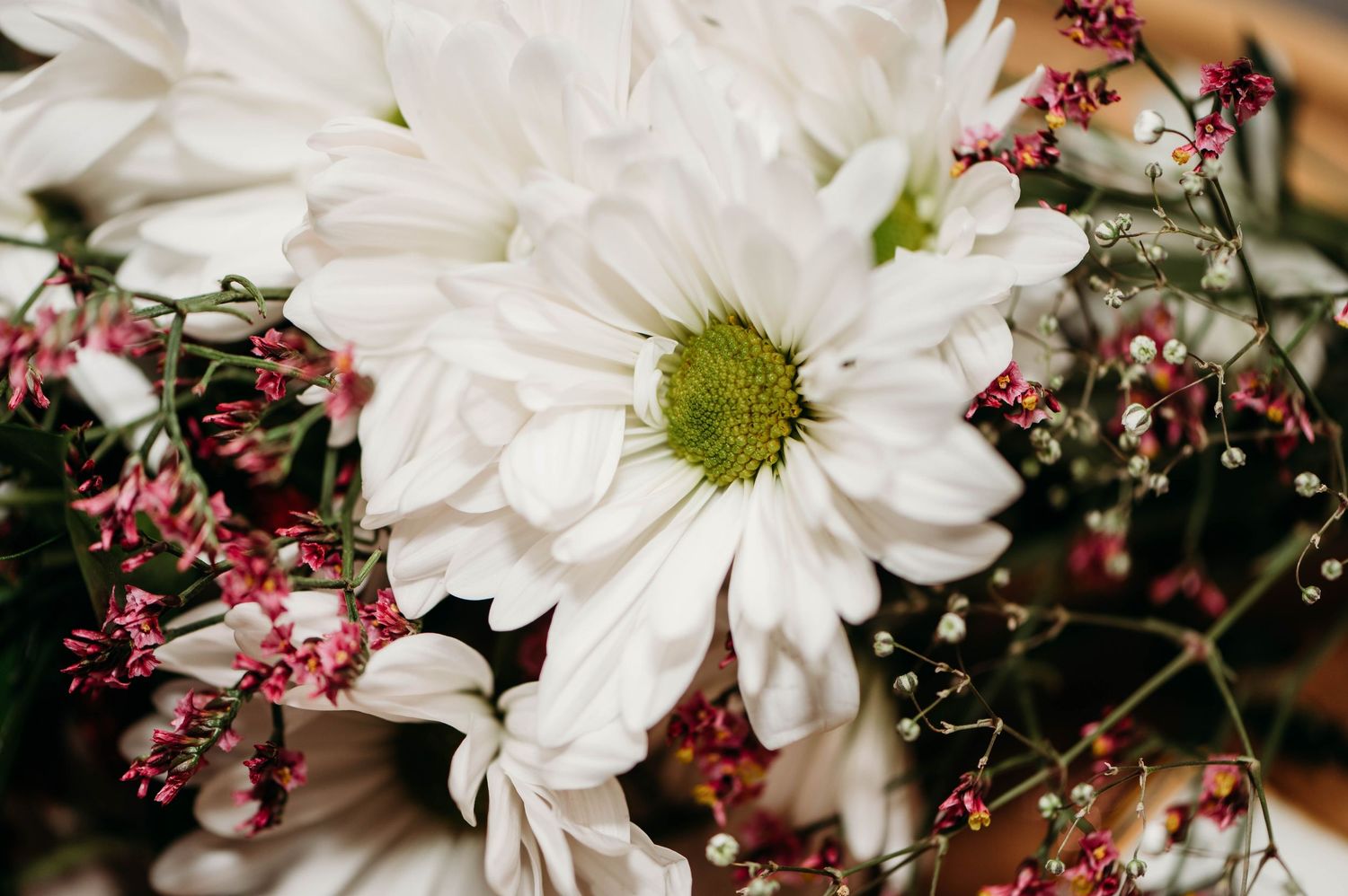 White daisy flowers with delicate pink baby's breath create a soft romantic floral arrangement.