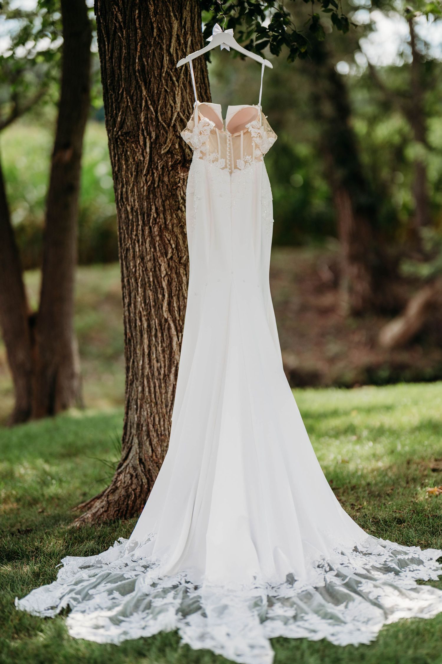 A white lace wedding dress with a long train hangs elegantly from a tree trunk in a natural outdoor setting.