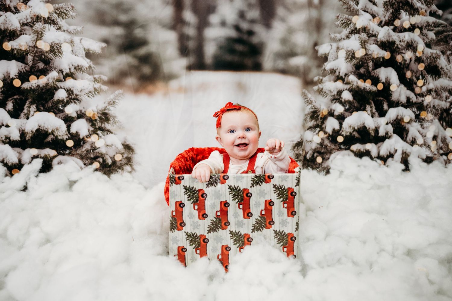 Snow-covered evergreen trees decorated with red bows create a wintry Christmas scene.