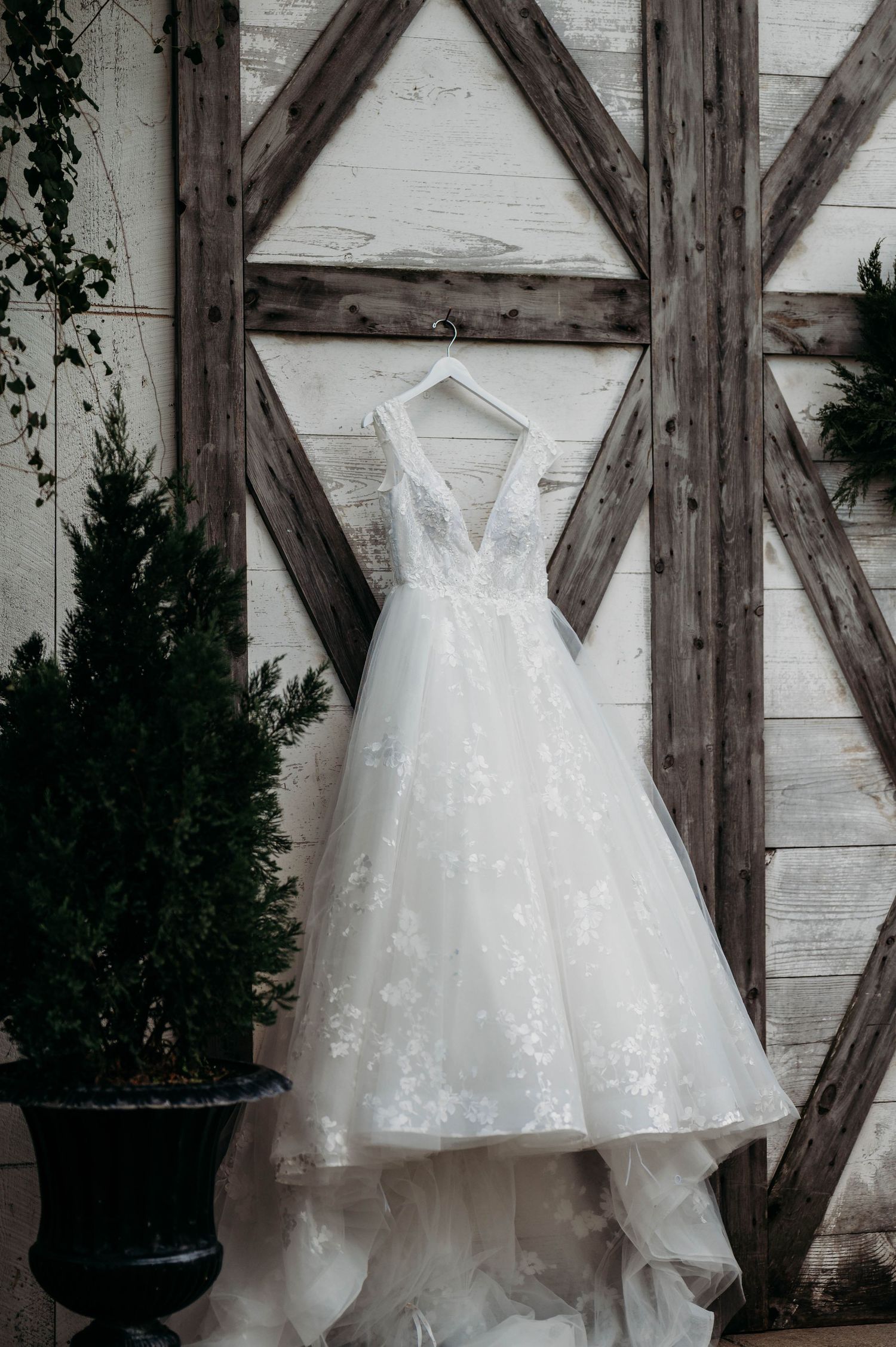A delicate white lace wedding dress hangs against a rustic white barn wall with wooden beams and a potted evergreen plant.