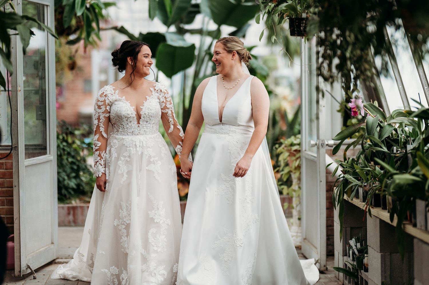 Two people in white wedding dresses laugh together while walking through a greenhouse filled with lush plants.