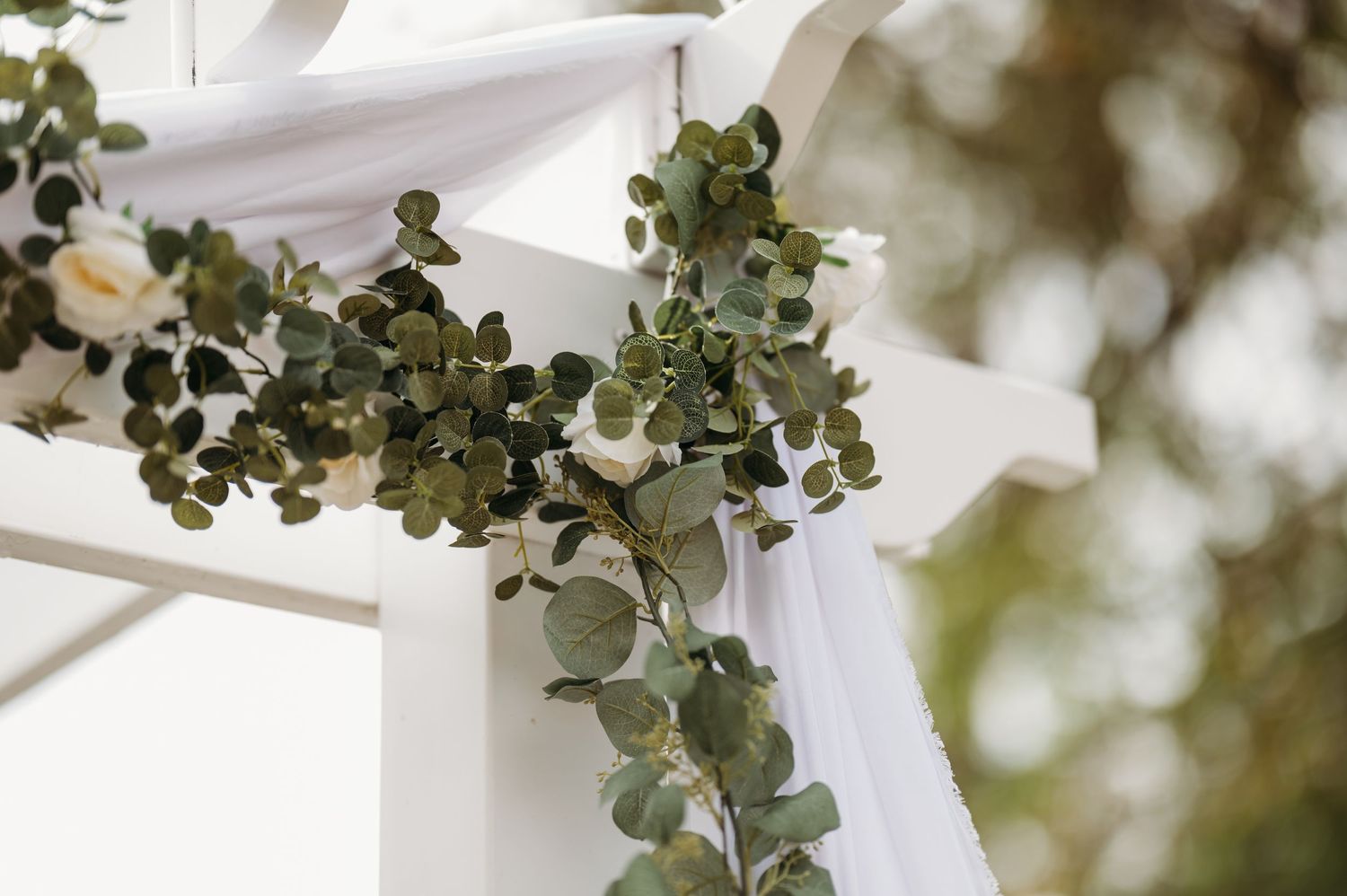Delicate eucalyptus branches with silvery green leaves hang gracefully against a bright white background.