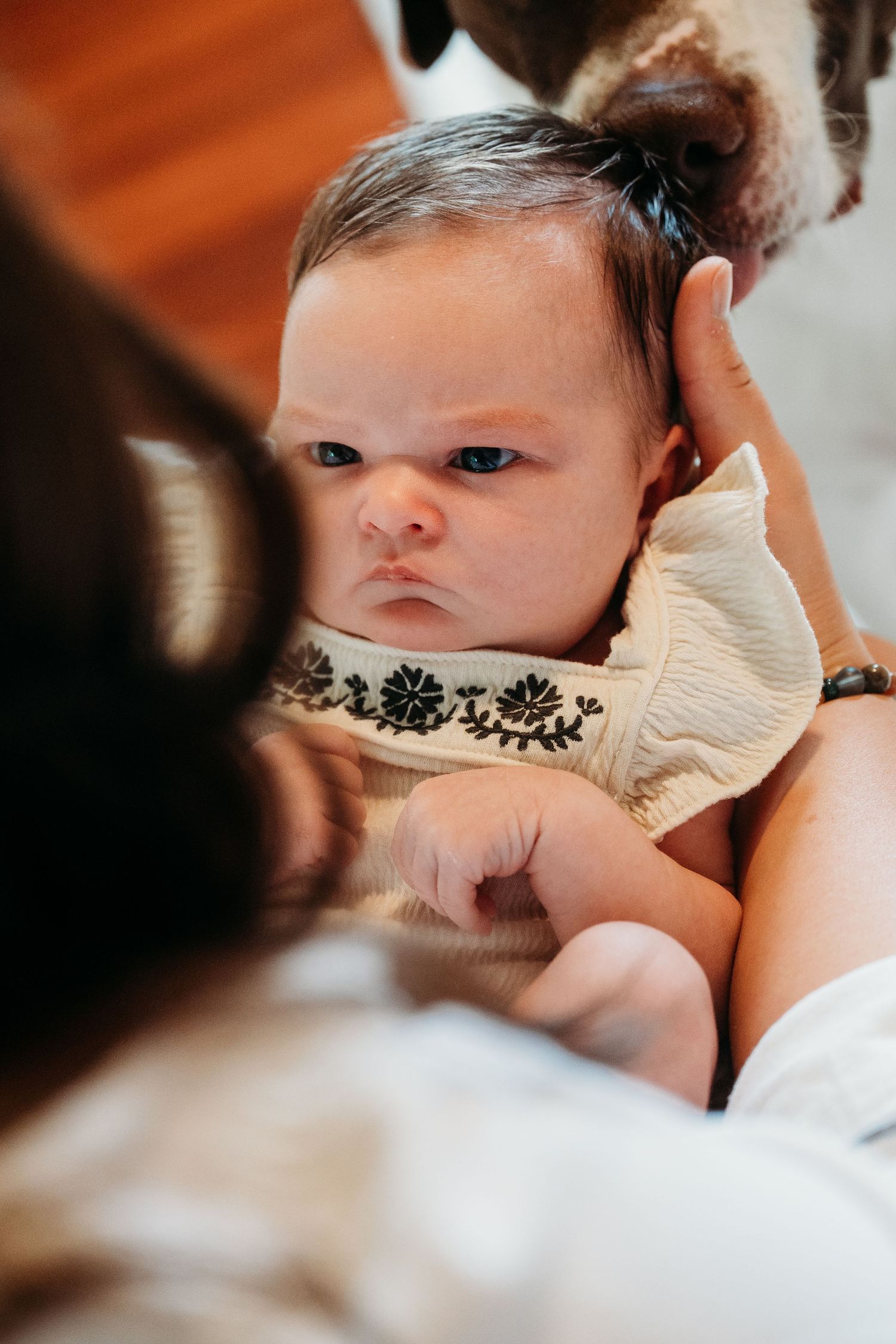 Close-up portrait of a newborn baby with dark hair wearing a white outfit against soft white bedding.