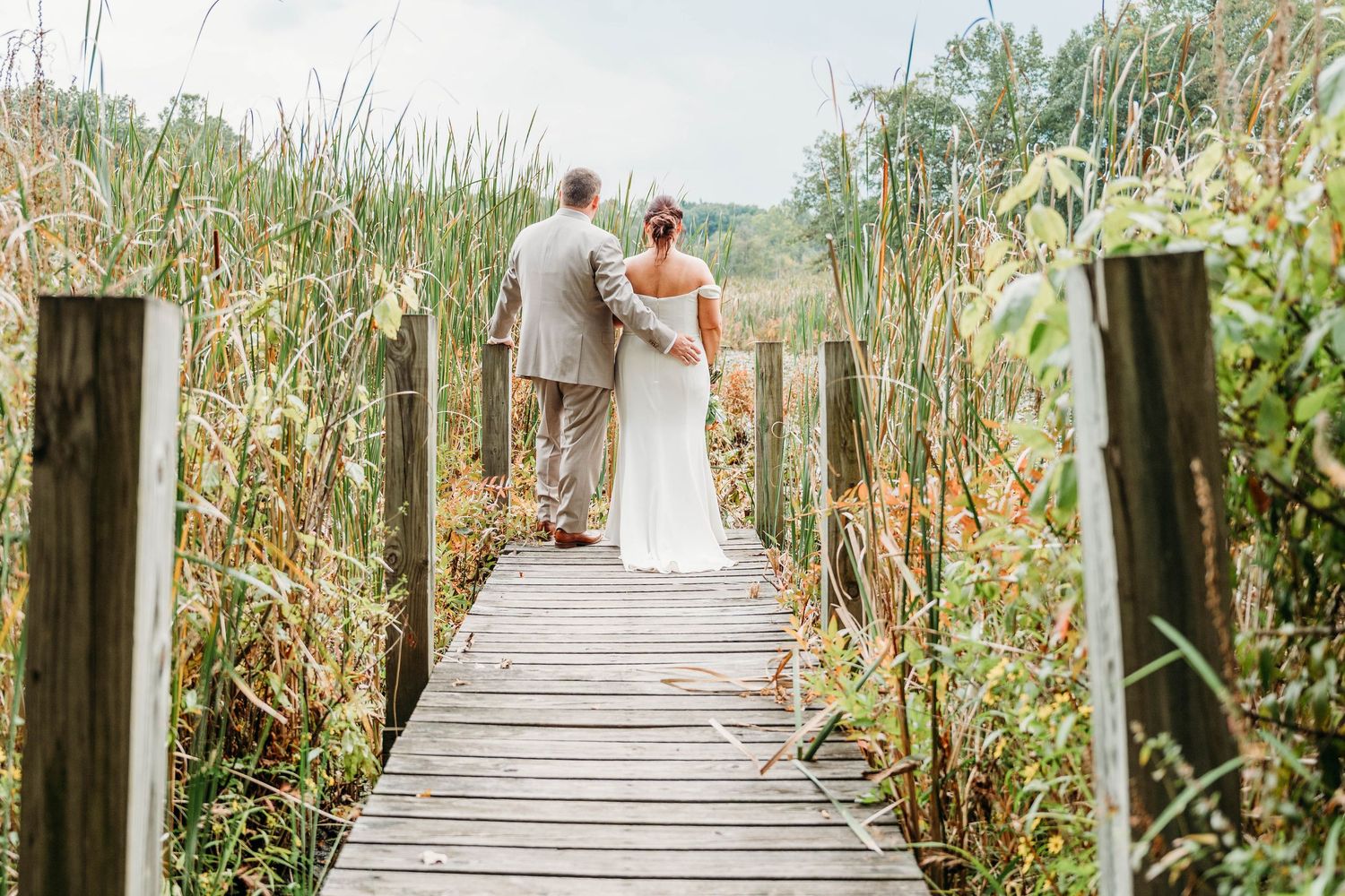 A wooden boardwalk path winds through tall cattails and marsh grass in a serene wetland landscape.