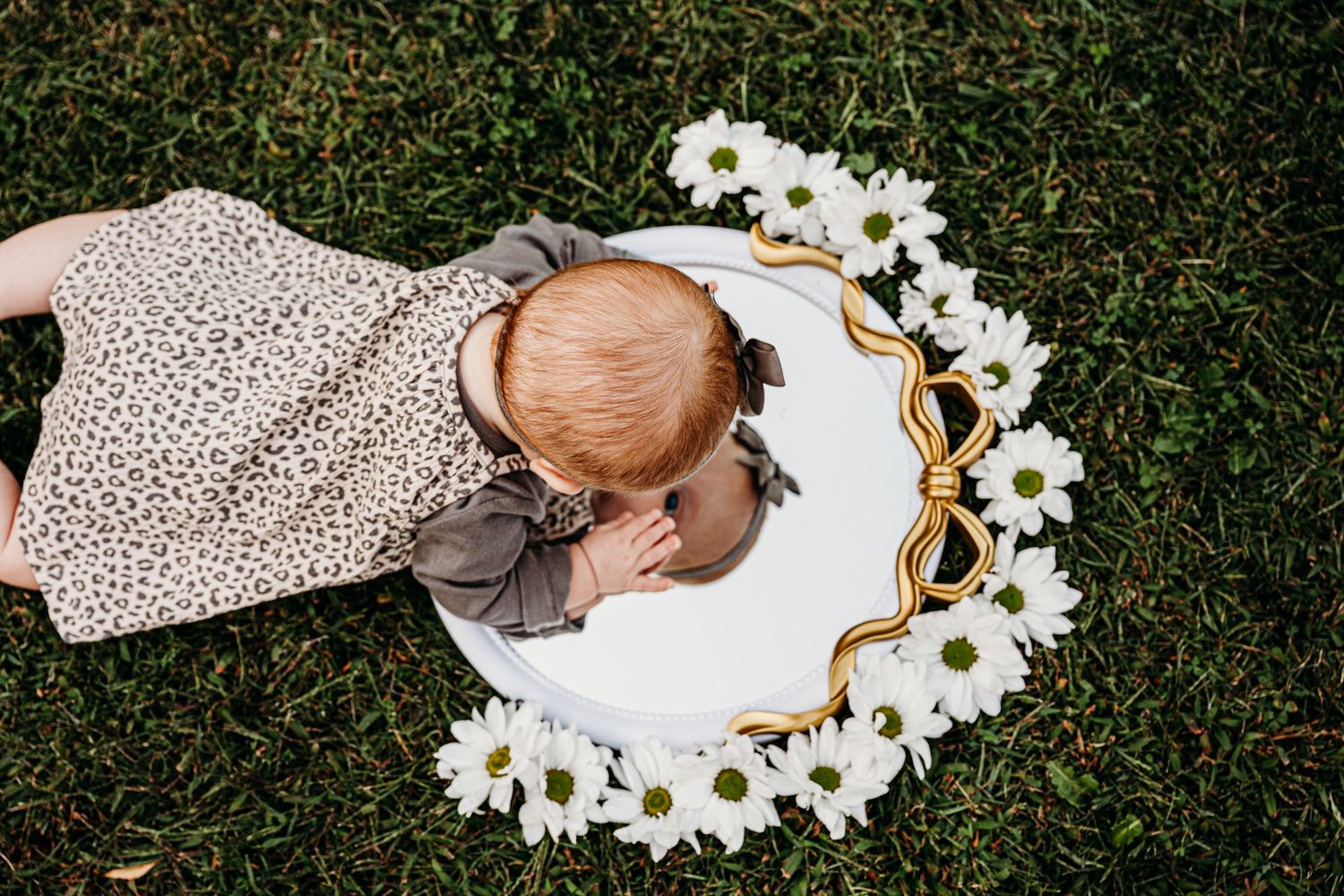 White daisies arranged in a circle on green grass create a dreamy spring setting.