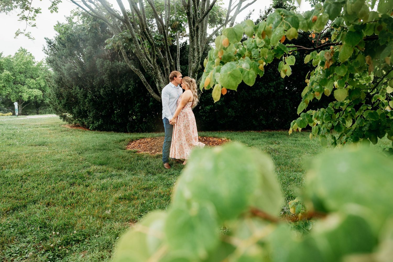 Couple sharing a romantic kiss in a lush green garden, framed by leafy branches in soft natural light.