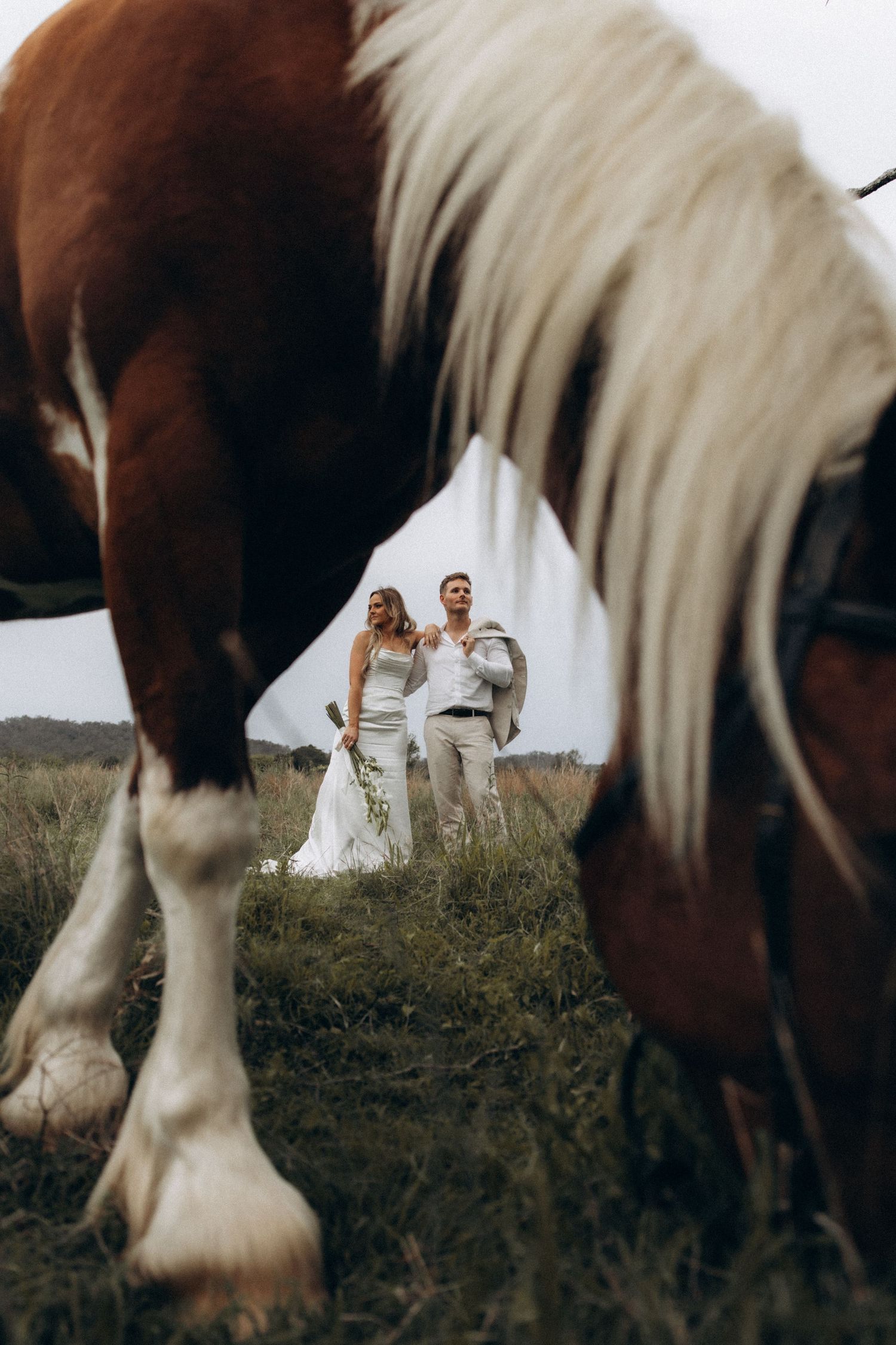 Artistic shot through horses showing people in a field.