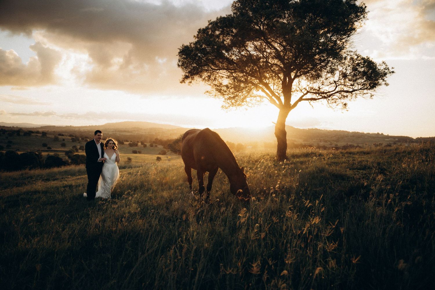 Bride and groom stand beside a grazing horse in a golden sunset field with a lone tree backdrop.