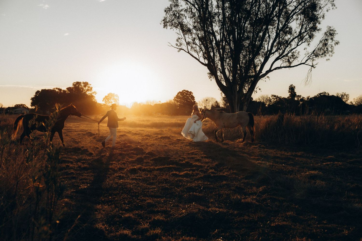 Person in white dress with horses at golden sunset in a rustic field beside a large tree.