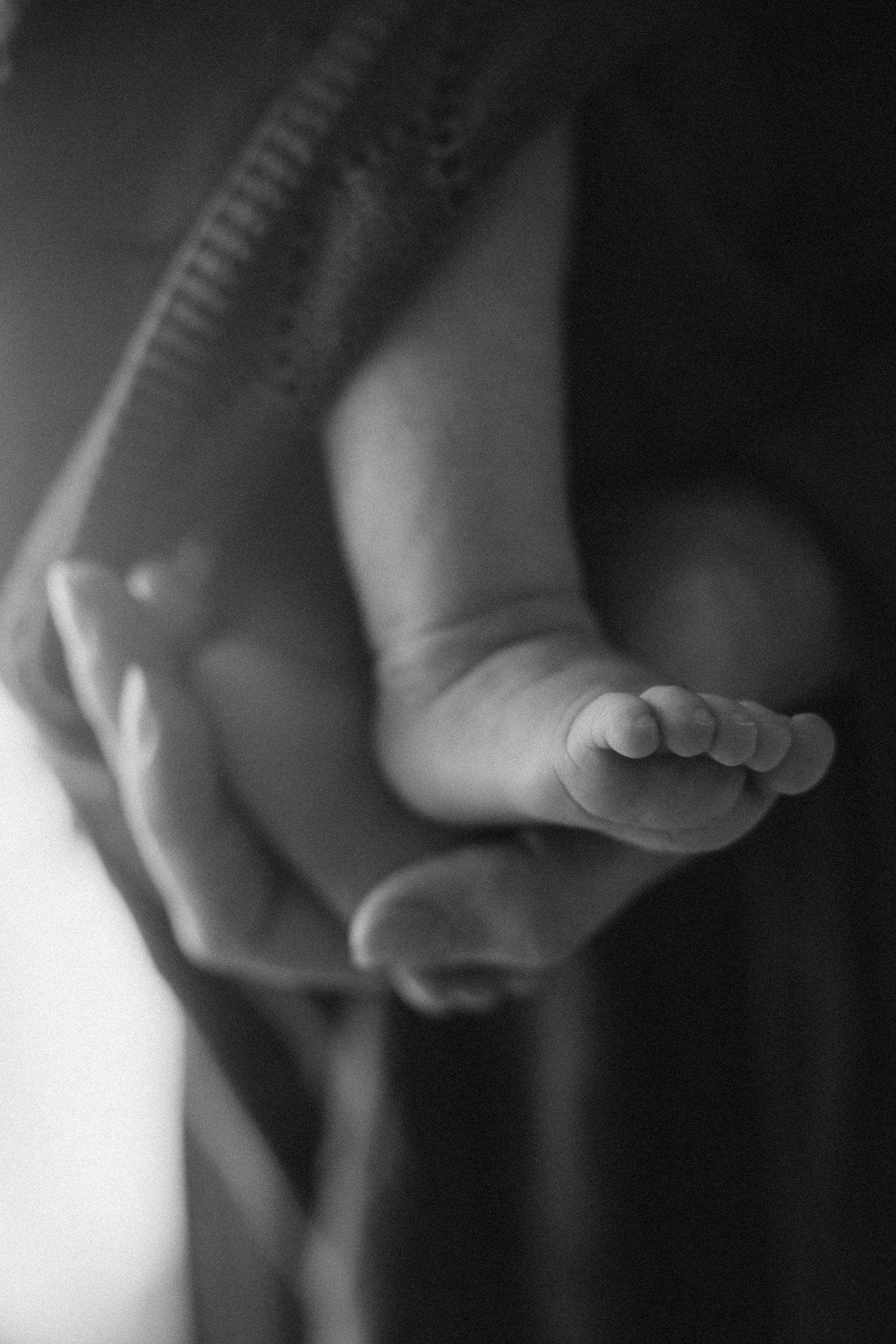 Black and white close-up photograph of tiny baby feet in soft focus.