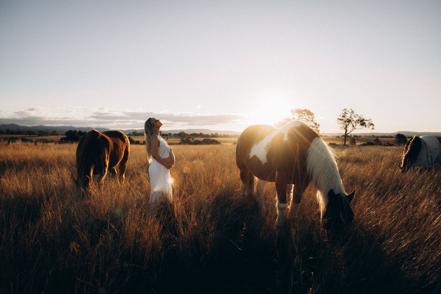 Woman in white dress standing among horses in golden field at sunset.