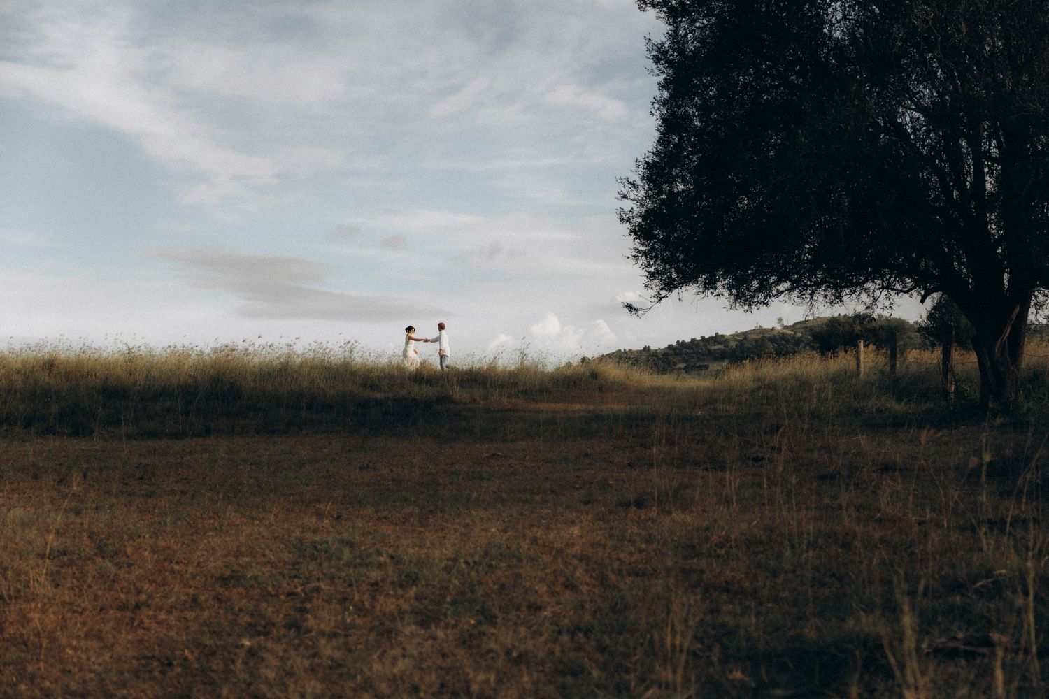 A distant view of a grassy field with trees on the horizon.
