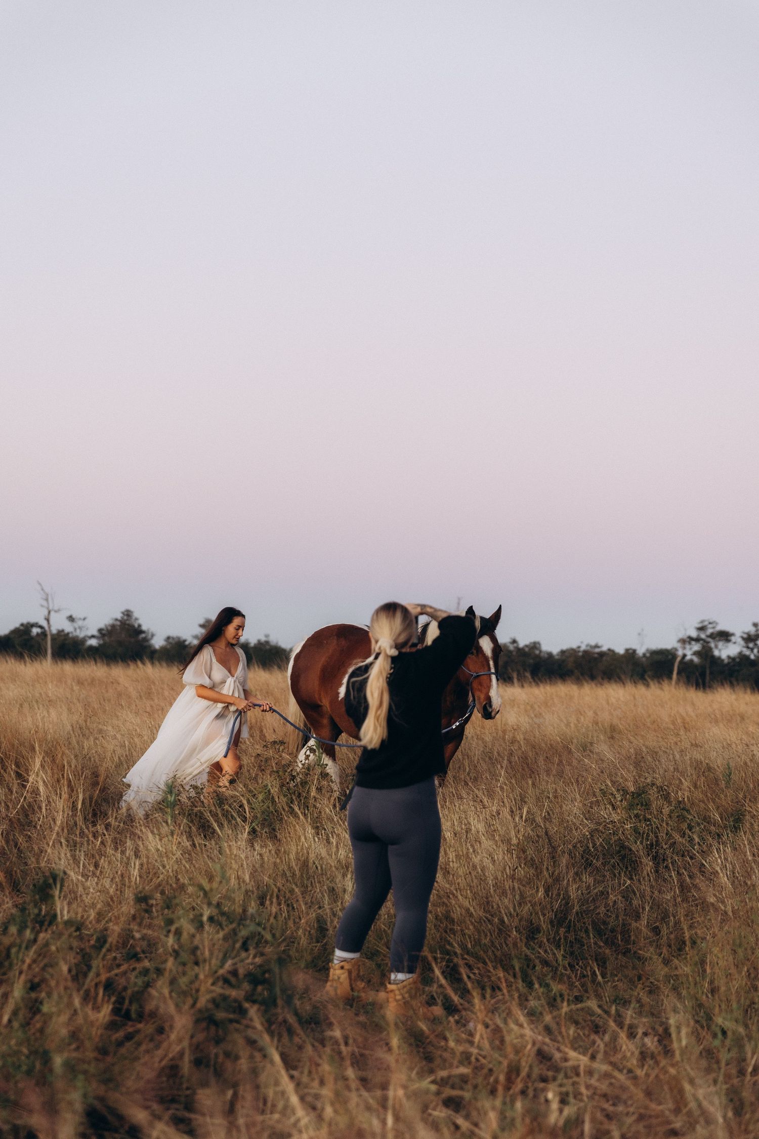 Sunset scene in a field with people interacting with horses in golden light.