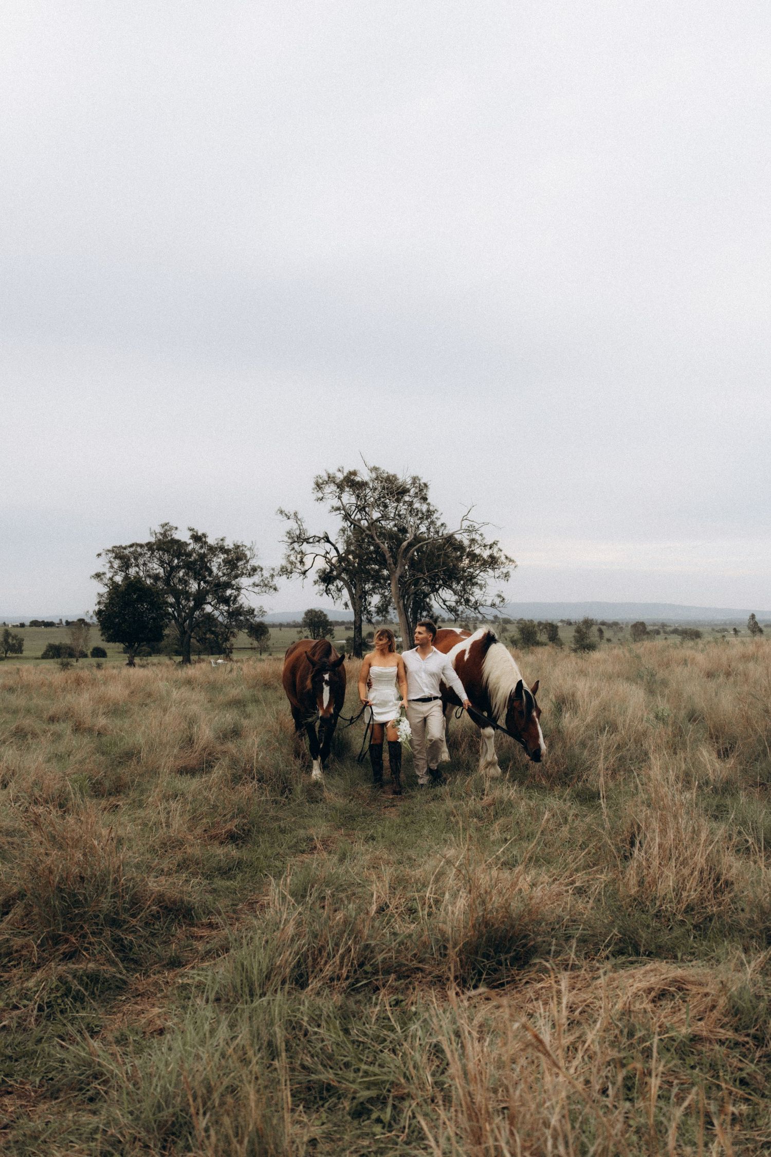 Wide landscape shot of a wedding party with horses in a rural field setting.