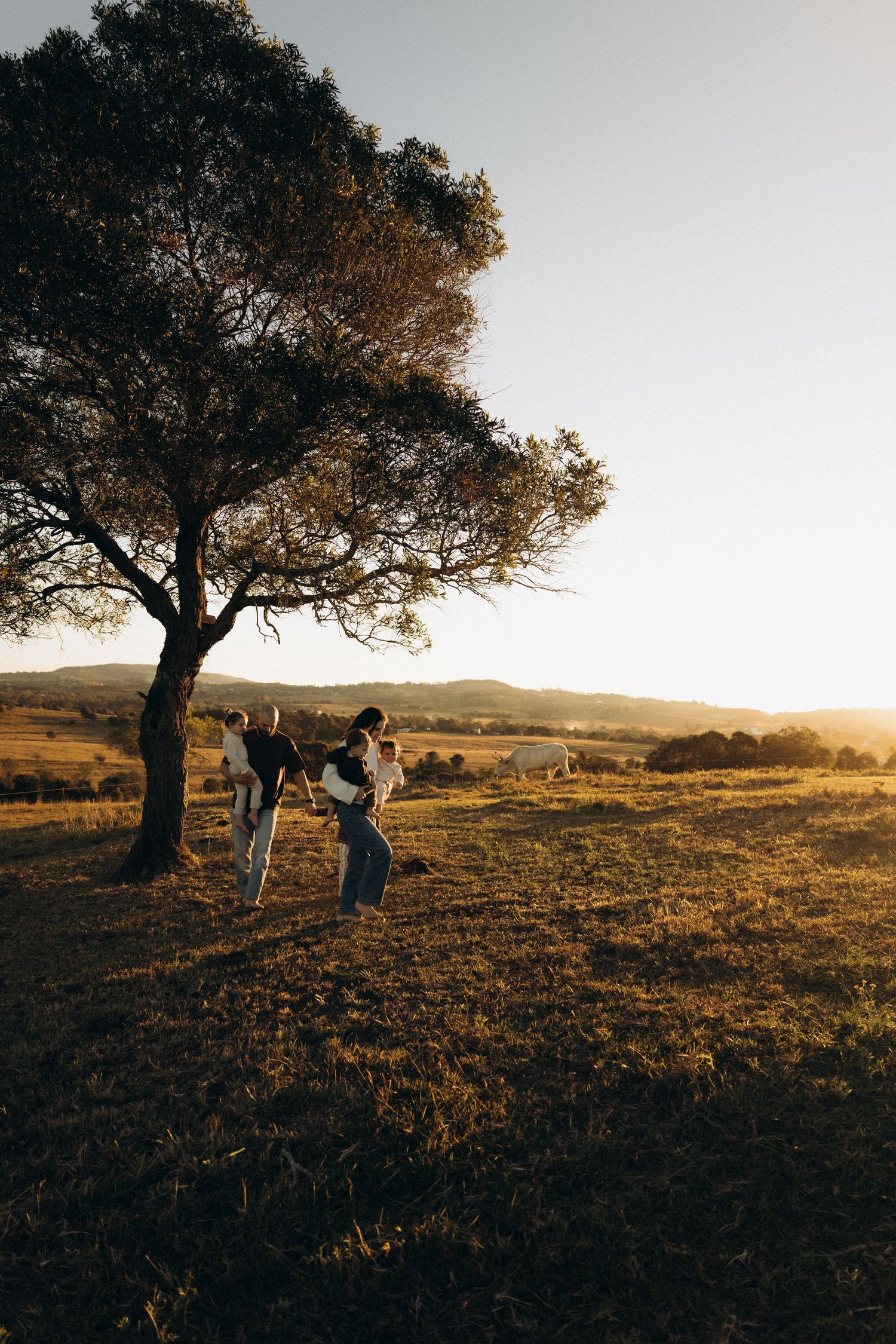 Family gathering under a large tree in golden sunset light on a rural Australian landscape.