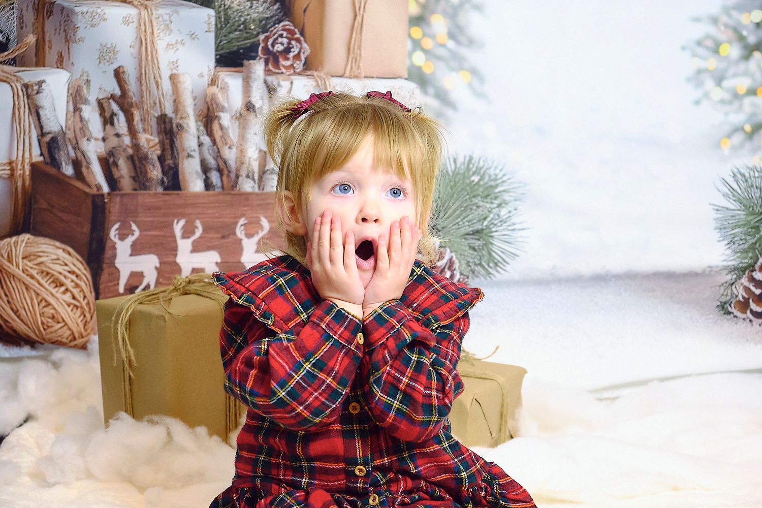 Childs Christmas photos, shocked expression, red plaid dress and christmas scenery.