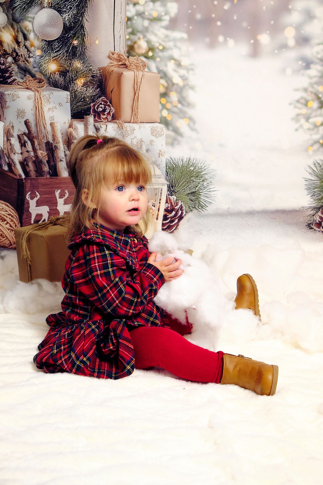 Childs Christmas photos, red plaid dress and christmas scenery.