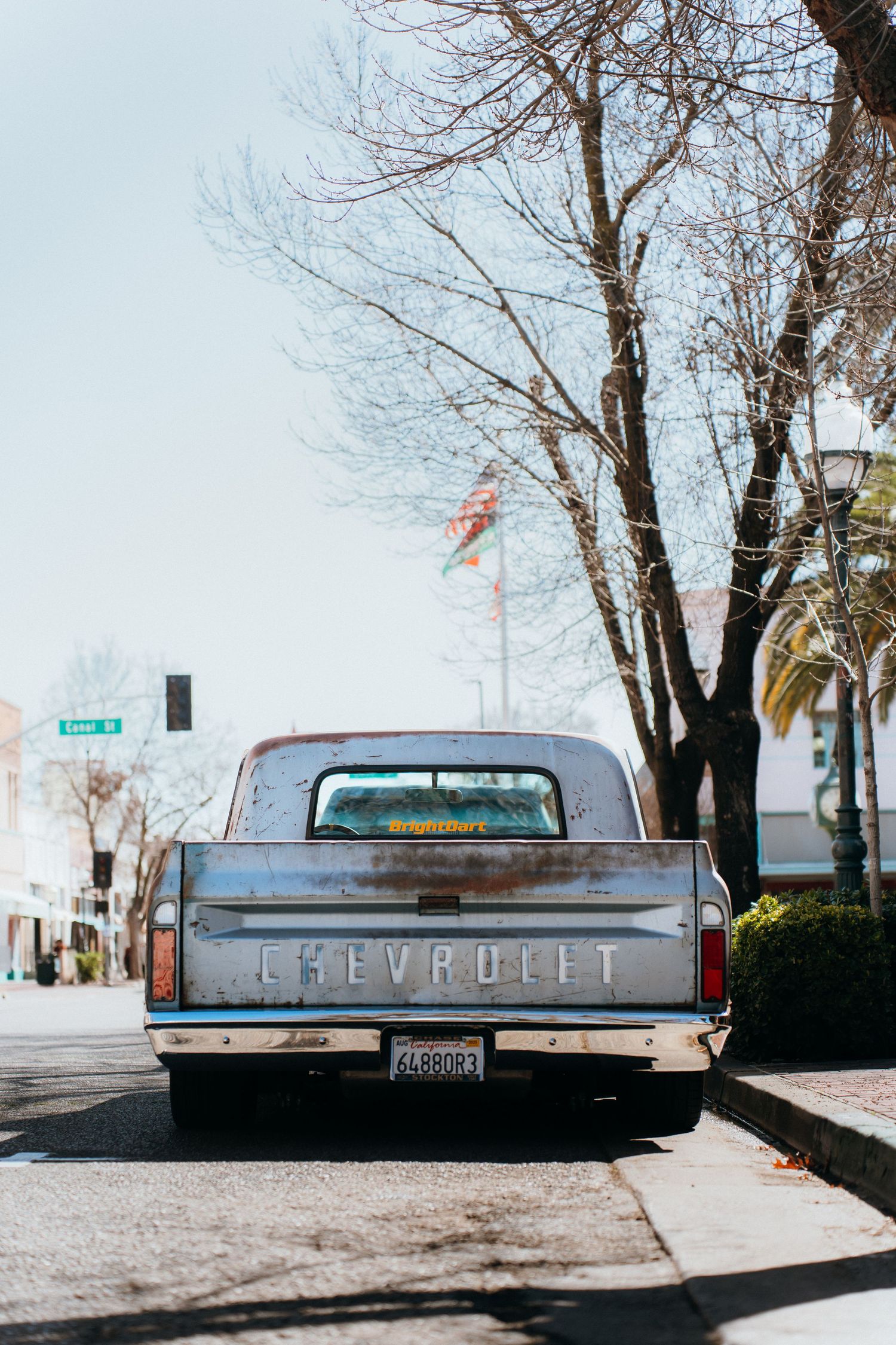 Rear view of vintage Chevrolet pickup truck parked on city street with bare trees overhead.