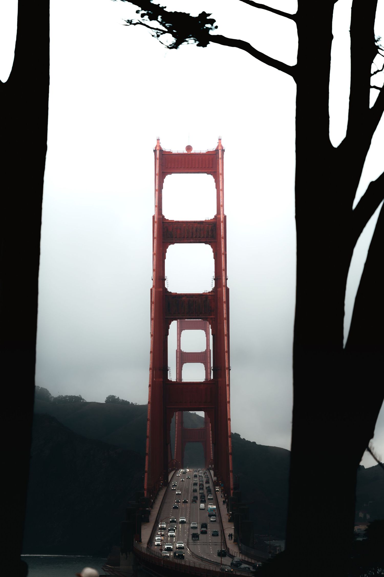 Dramatic view of Golden Gate Bridge through dark tree silhouettes on a foggy day.