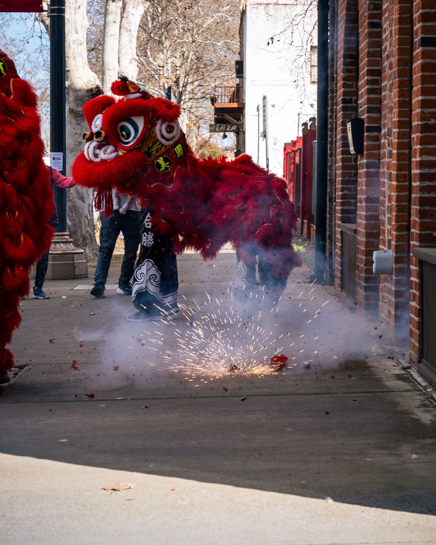Lion during the Bok Kai parade in Marysville, CA
