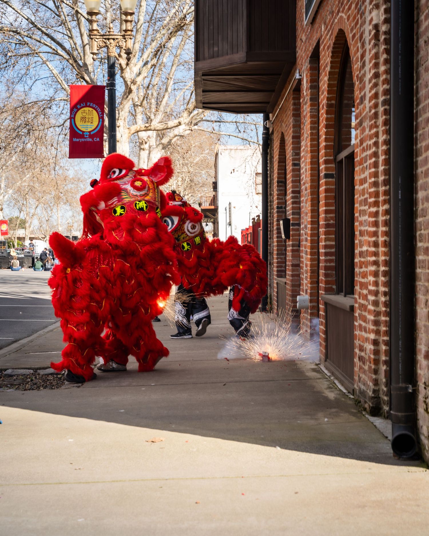 Dragons at the Bok Kai parade
